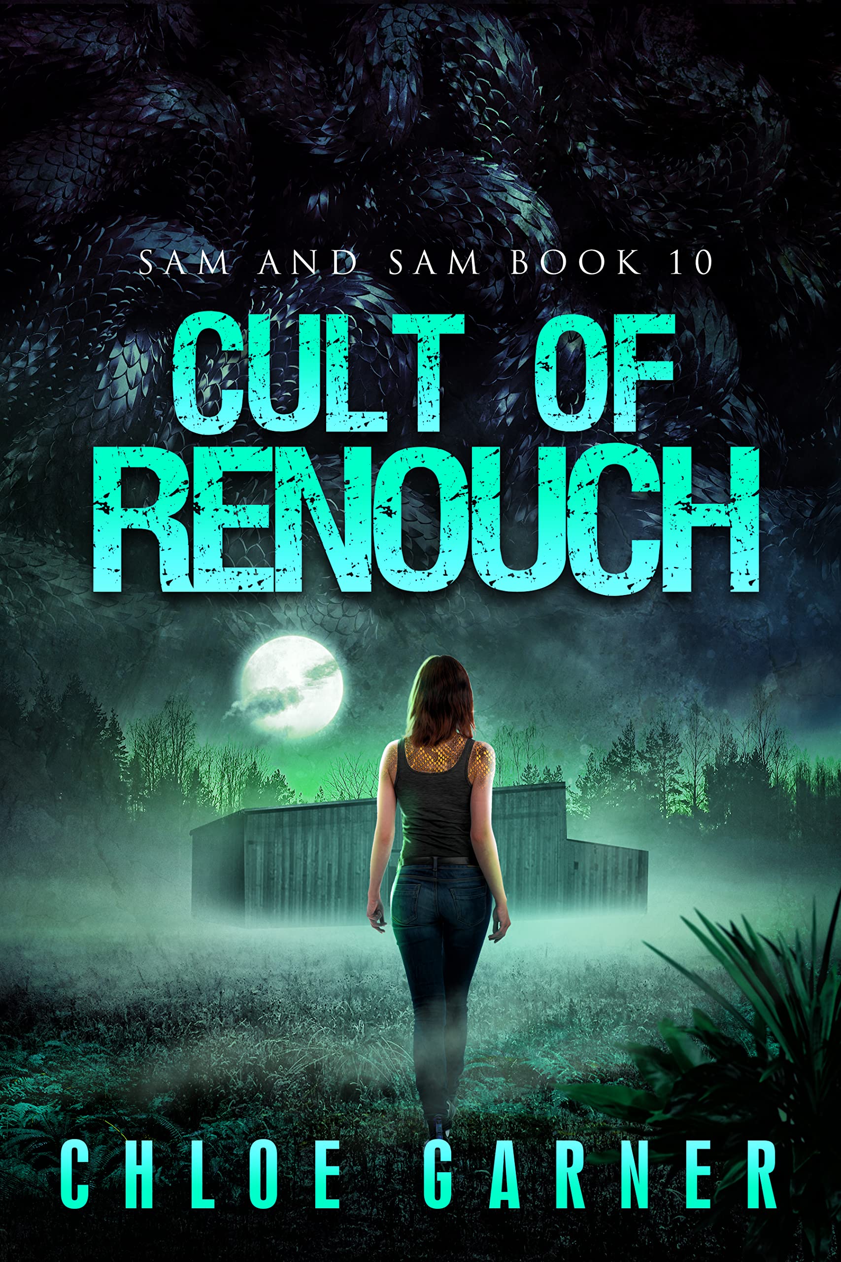 Cover of Cult of Renouch