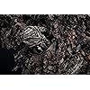 Product Photo 6