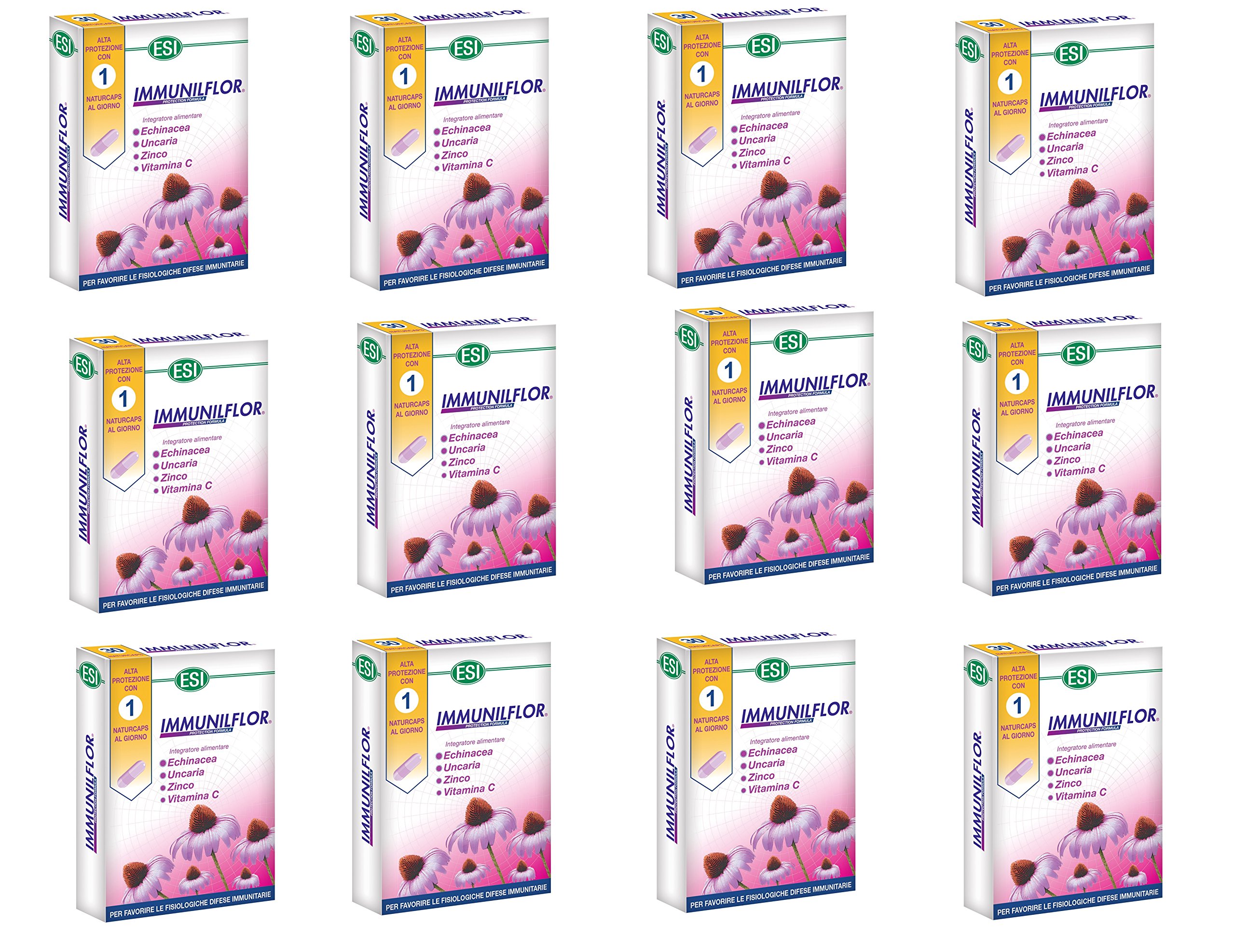 12 ESI IMMUNILFLOR INTEGRATORE ALIMENTARE ALL'ECHINACEA 30 NATURCAPS
