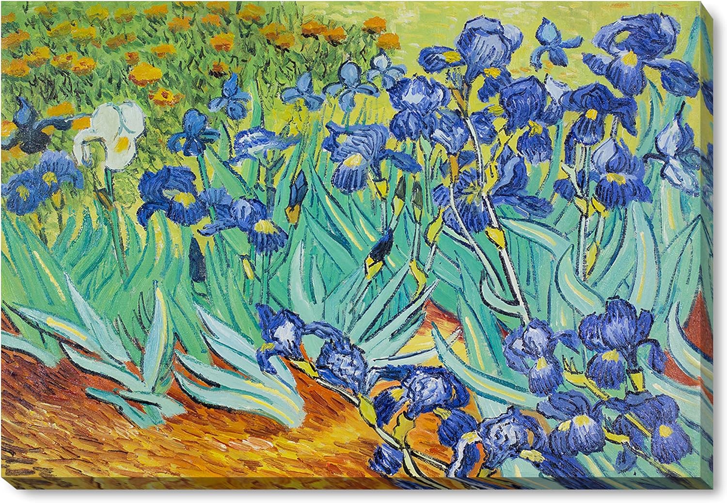 overstockArt Irises with Gallery Wrap Framed Oil Painting, 34" x 22", Multicolor