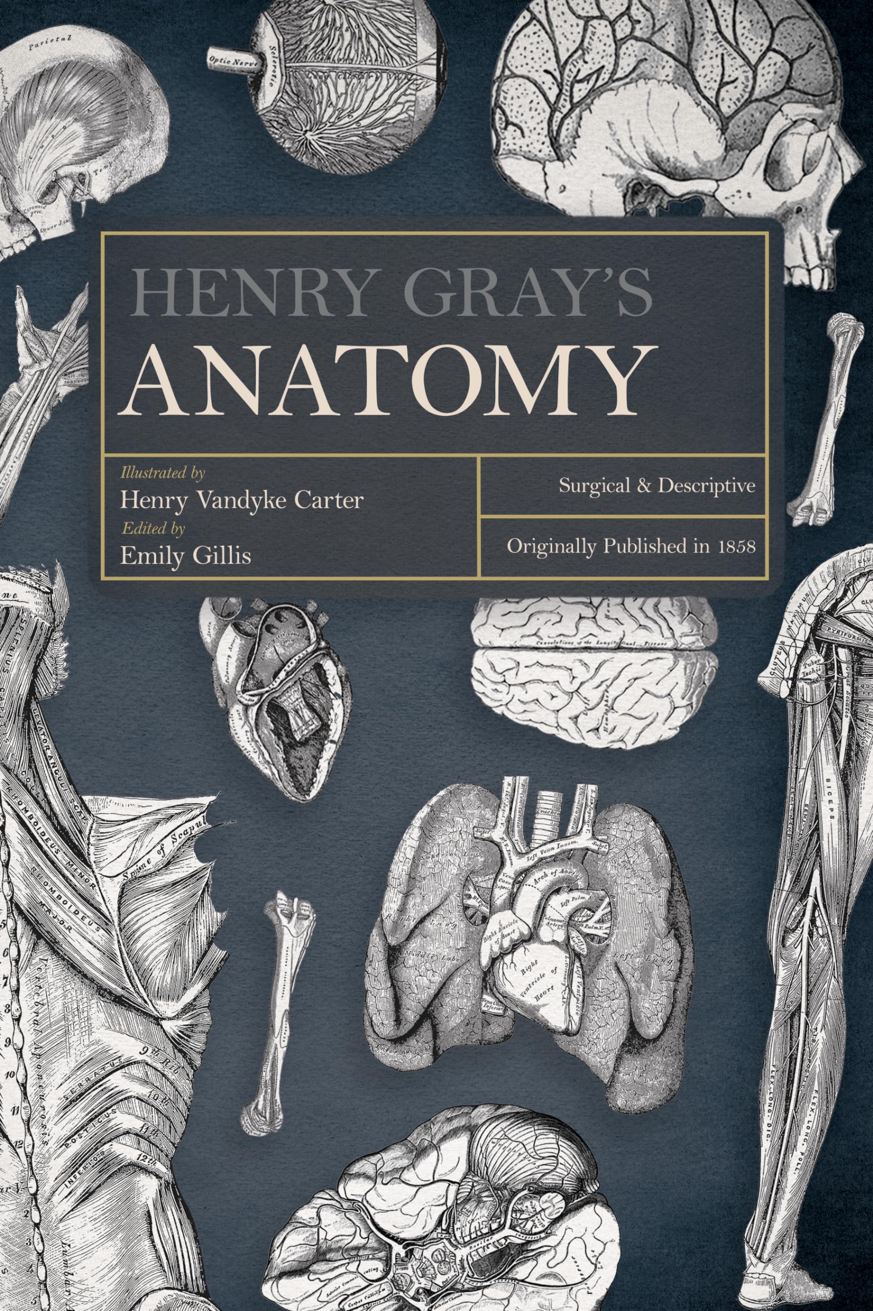 Anatomy de Henry Gray livre de terminologie chirurgicale anglaise