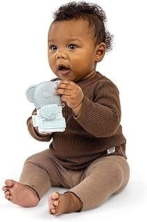 Ingenuity Teethers
