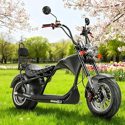 eAhora M1 2 Seater 2000W Electric Motorcycle for Adults,37MPH 60V 30Ah Battery 40 Miles Long Range Full Suspension Dual Hydraulic Brakes, Street Legal Electric Motorcycle