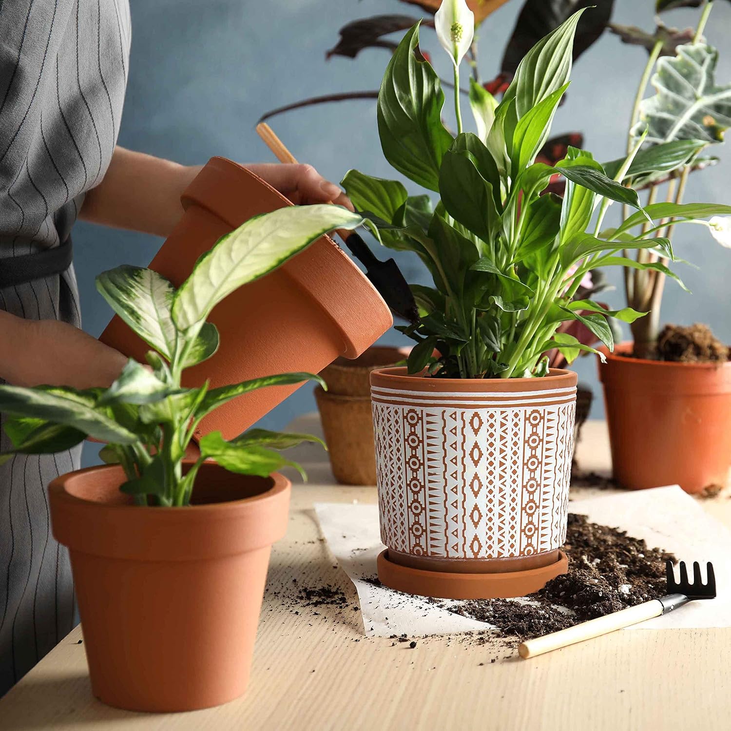 D'vine Dev Set of 2 Terracotta Pots, 4 Inch & 6 Inch, Planter Pots for Plants with Drainage Holes and Saucers, Terracotta/White, Small, 31-958-A-1