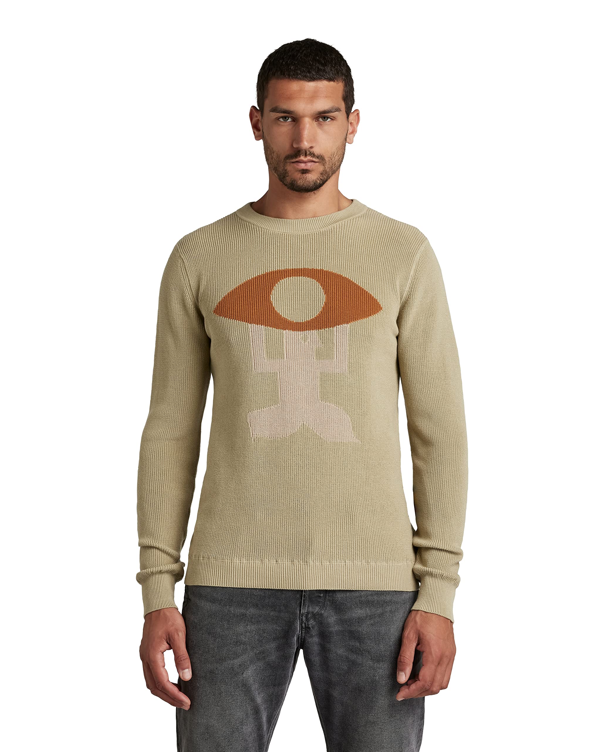 G-STAR RAW, Mens Graphic Knitted Sweater, Grün (Lt Moss C868-b249), XL