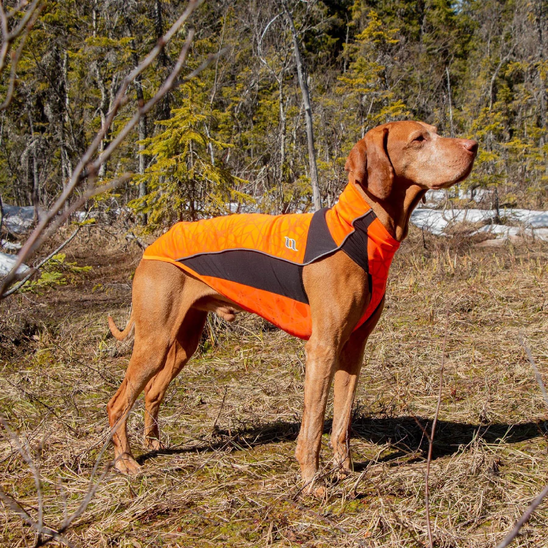 Back on Track Hundepullover Eddie reflektierend (60 cm)