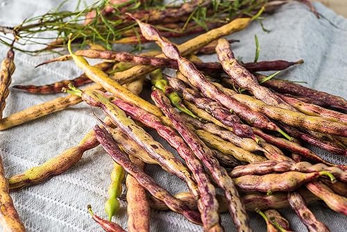 Miniatura 8 de Polvo de mezquite orgánico, 1 libra, sin OMG, Kosher, a granel