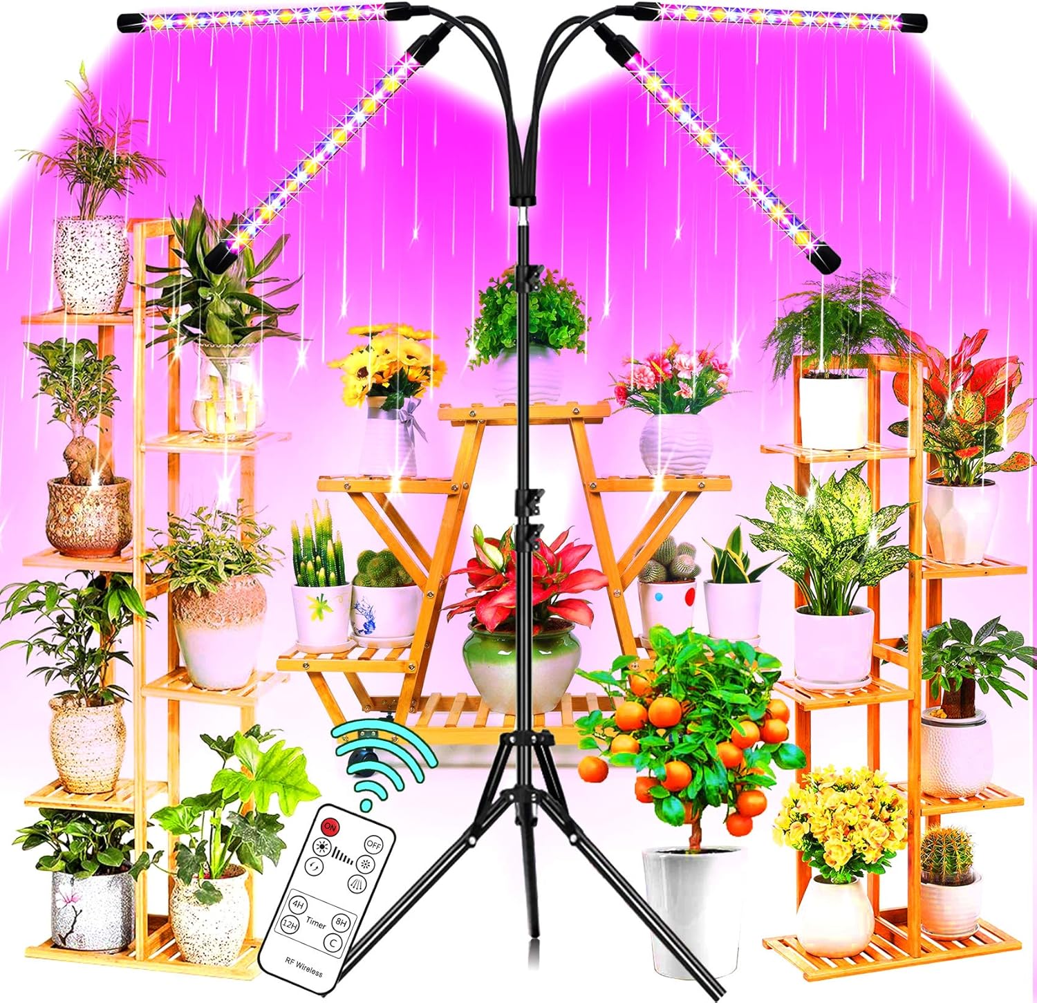 LED Grow Lights for Indoor Plants with 60" Stand Tripod, 80W Remote Control Plant Light Timing 4h/8h/12h, Full Spectrum/Blue/Red, Grow Lights for Seed Starting, 10 Dimming Levels Plant Growing Lamps : Patio, Lawn & Garden
