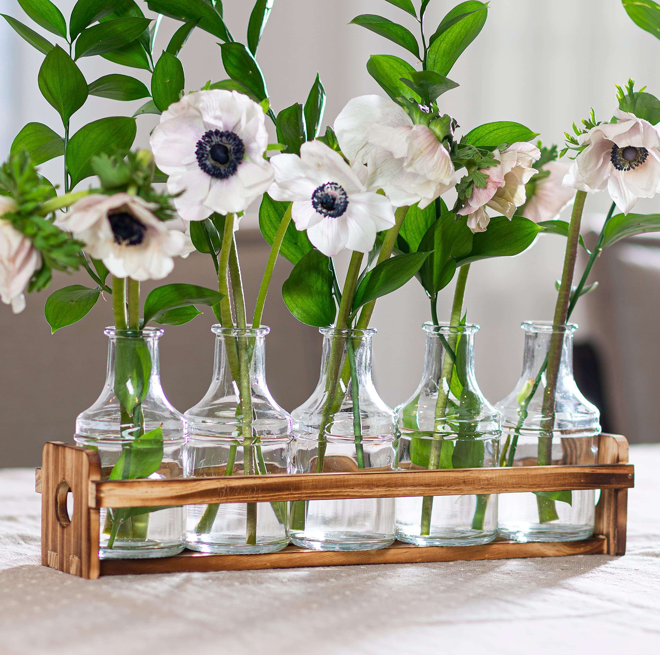 Amazon.com: FUNSOBA Rustic Vintage Hydroponic Flower Vases Set in ...
