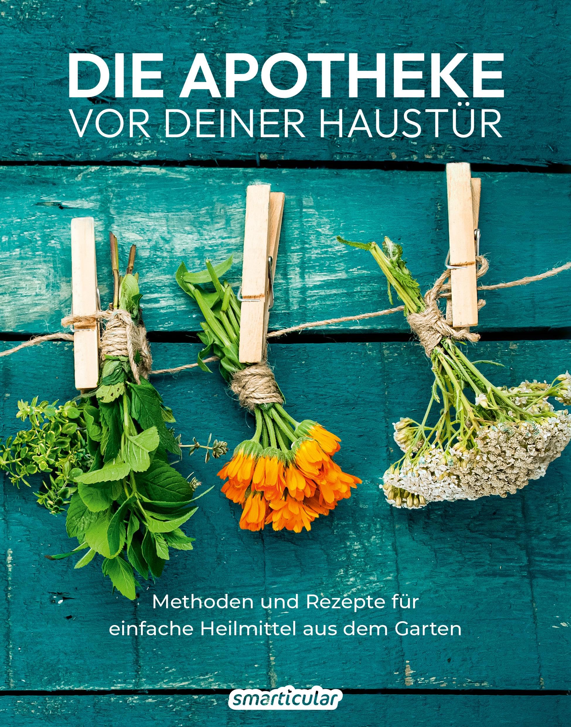 Die Apotheke vor deiner Haustür (German) PAPERBACK 9783910801110