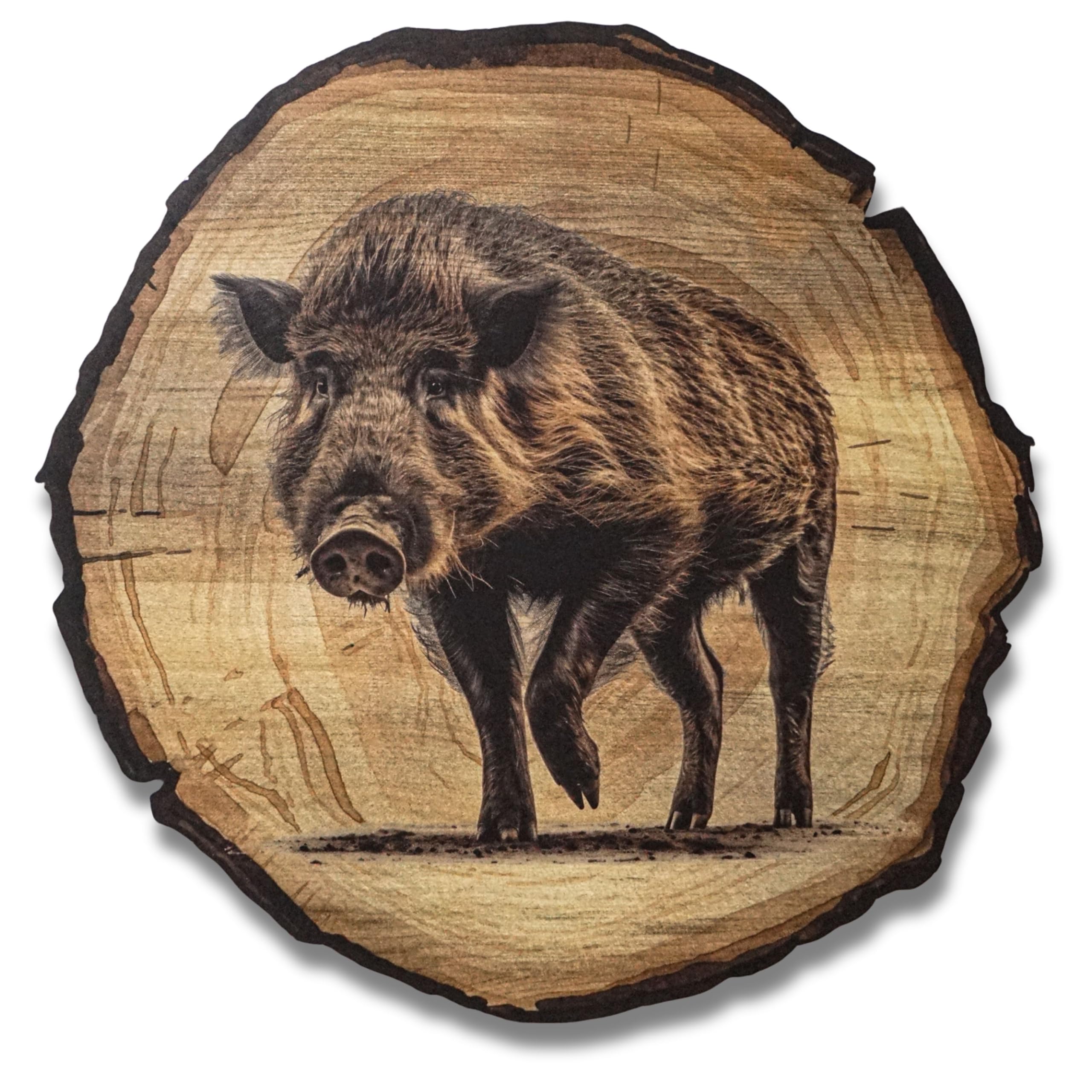 DARO Design - Wandbild Wildschwein Größe 30cm - Kunstdruck aufhängefertig - Wanddekoration Thema Jagd, Natur, Tiere