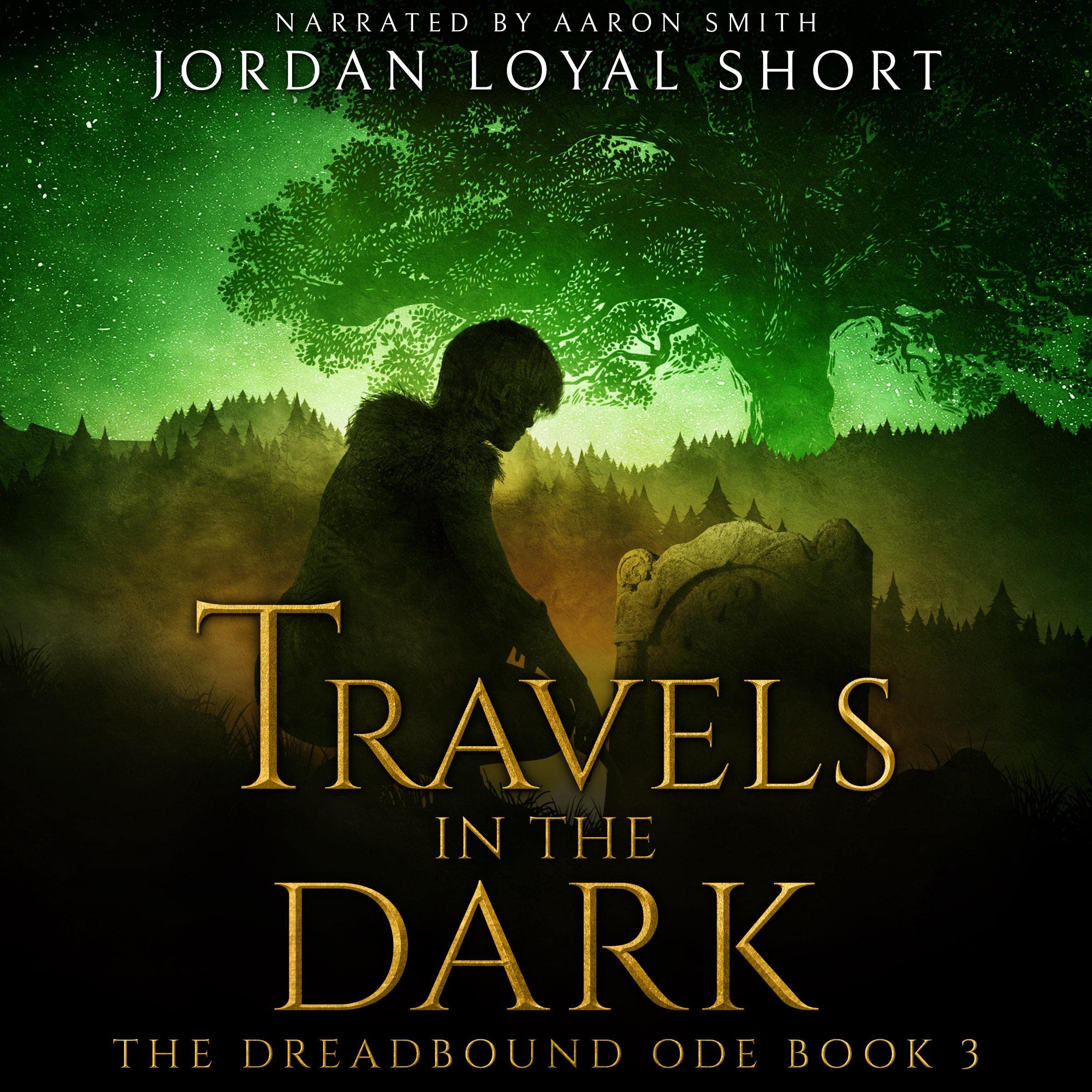 Cover art for Travels in the Dark
