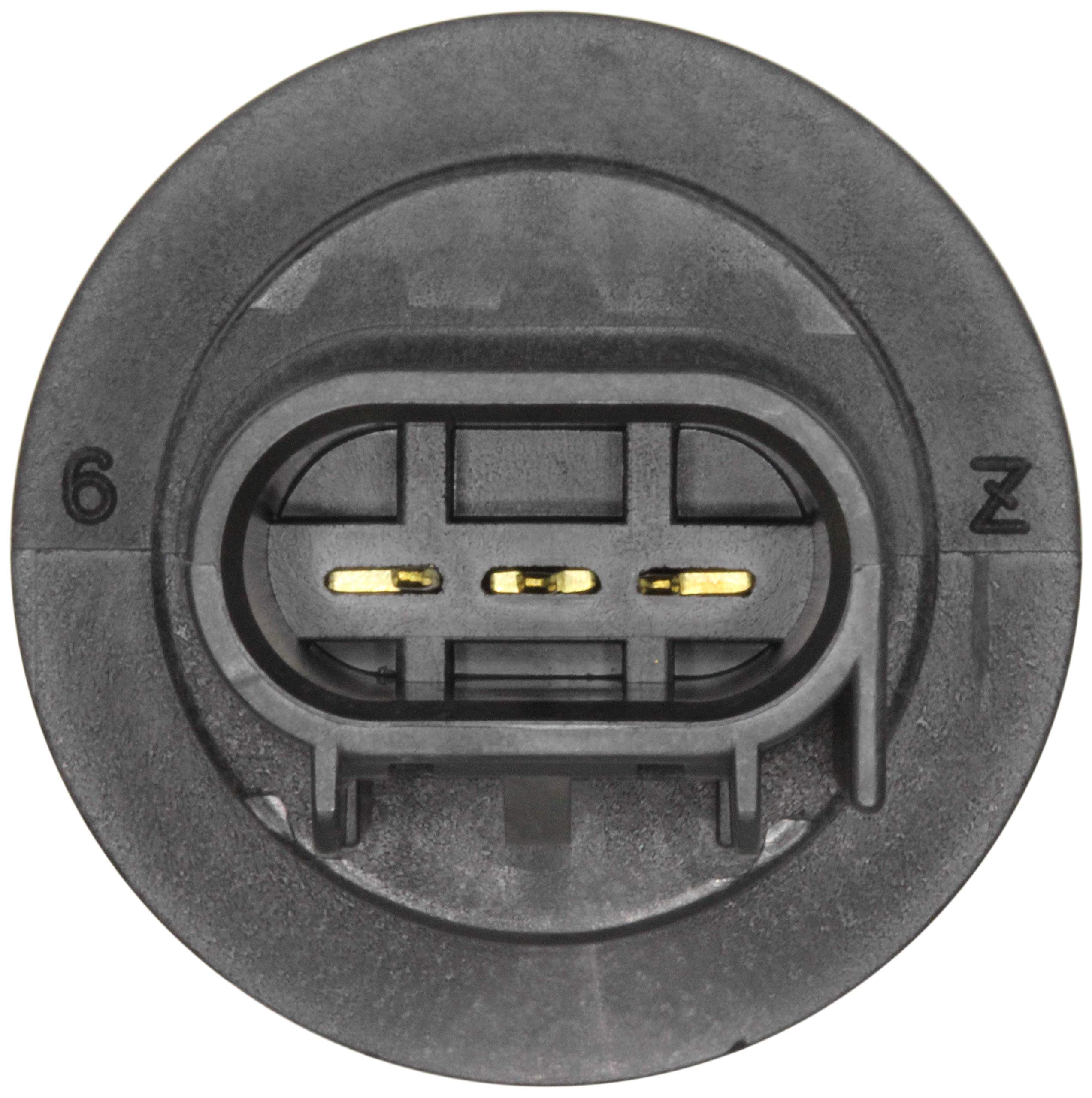Amazon.com: WVE by NTK 1P2398 Tail Light Socket : Automotive