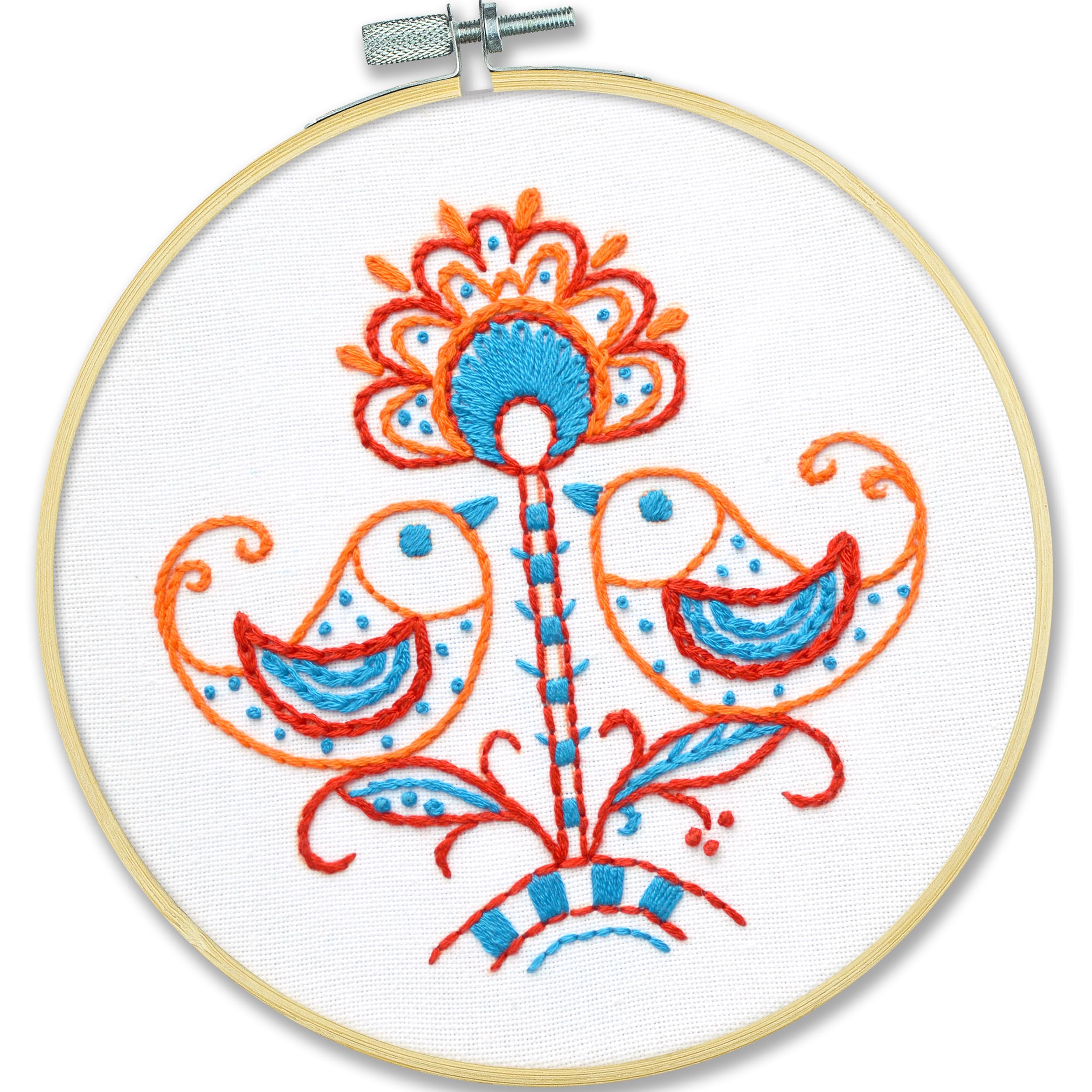 PovitrulyaEmbroidery Kit for Beginners 'Birds' - Fun Starter Kit for Hand Embroidery