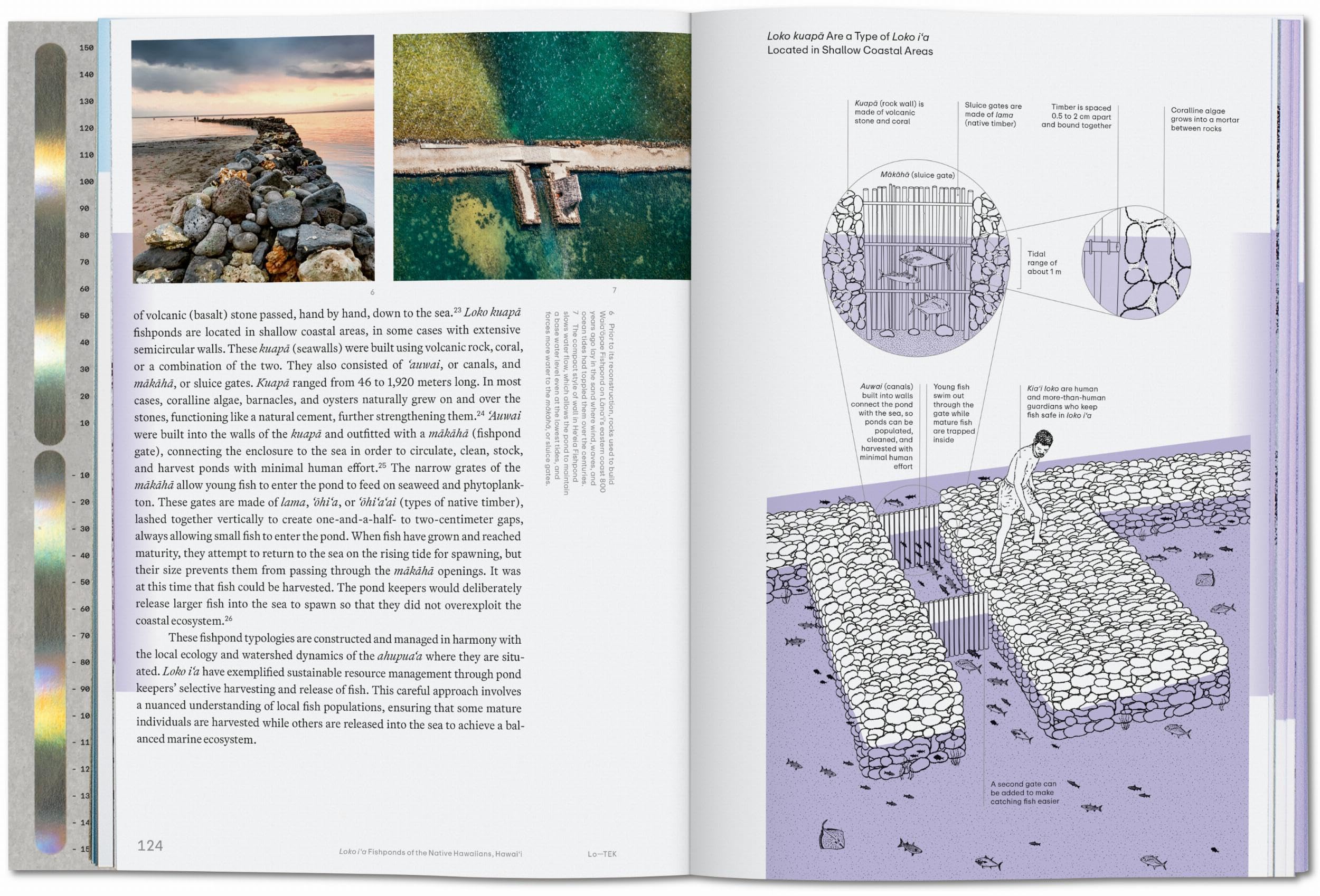 Julia Watson. Lo―TEK. Water. A Field Guide for TEKnology