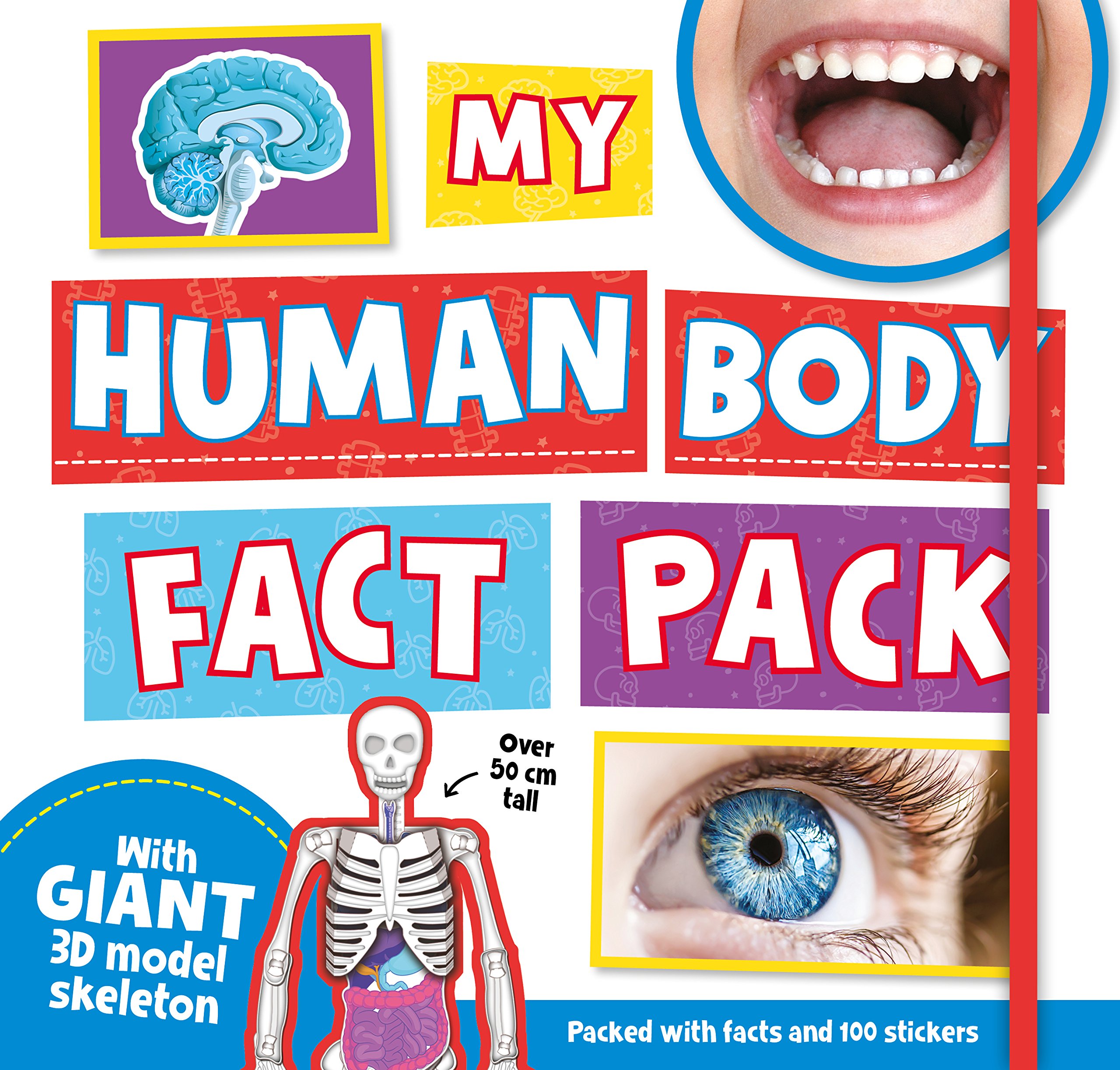 human body fact back