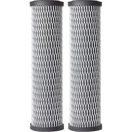 AO Smith AO WH PREV R2 6,3 Cm Filtre à Sédiments De