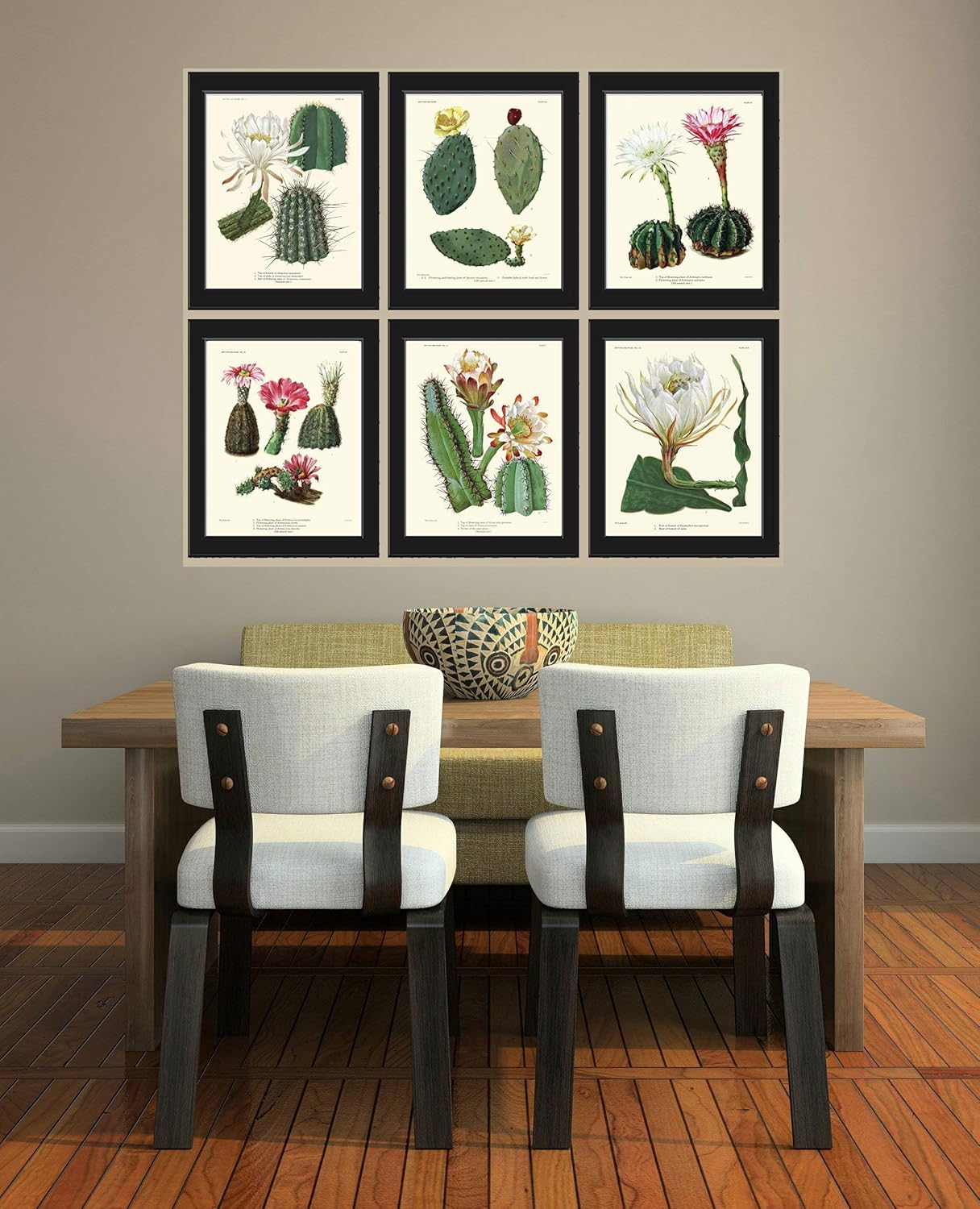 Cactus Botanical Print Set of 6 Antique Beautiful Tropical Plant Blooming White Pink Yellow Flowers Desert Garden Nature Home Room Decor Wall Art Unframed LoveThePrint