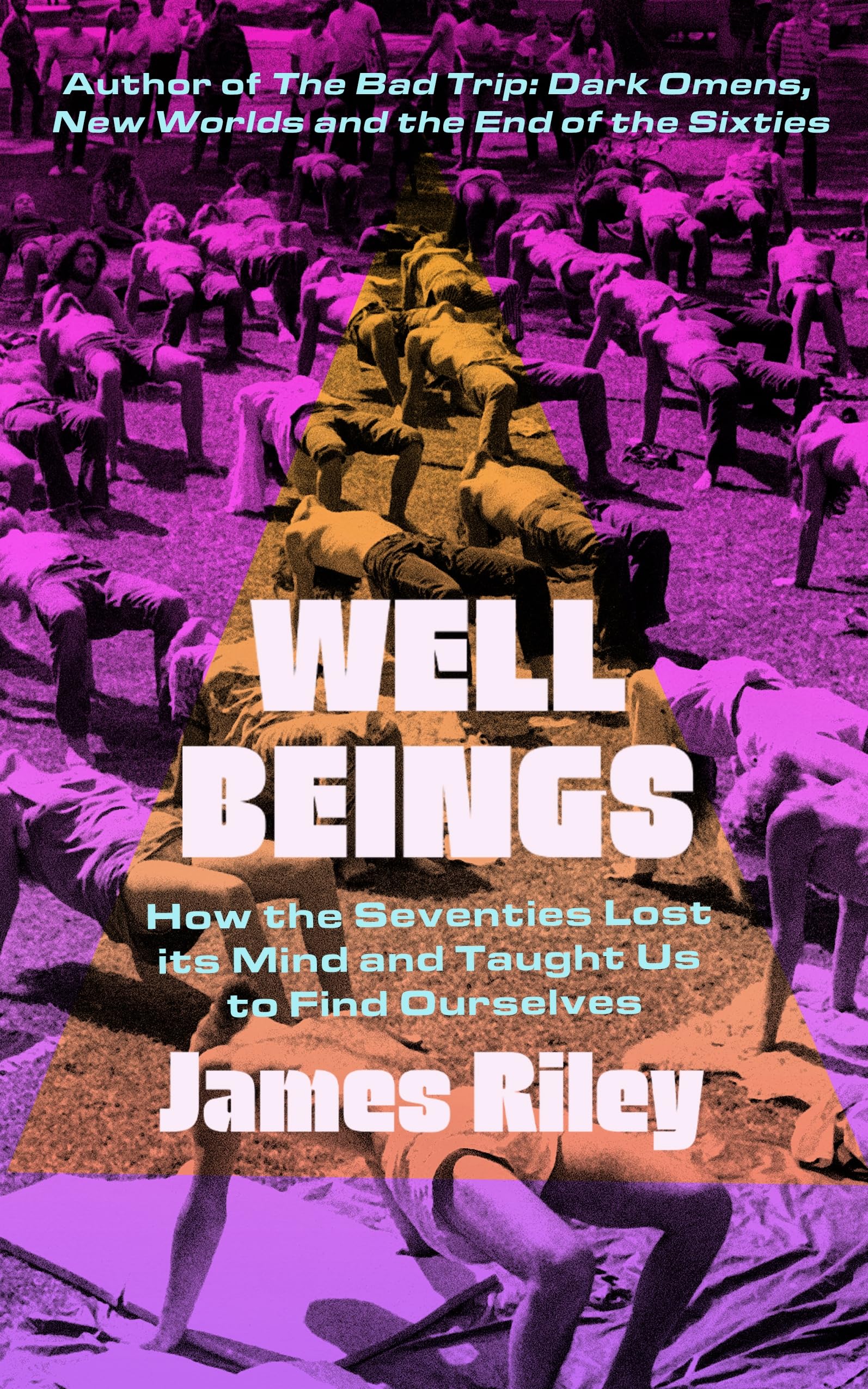 Well Beings: How the Seventies Lost its Mind and Taught Us to Find Ourselves