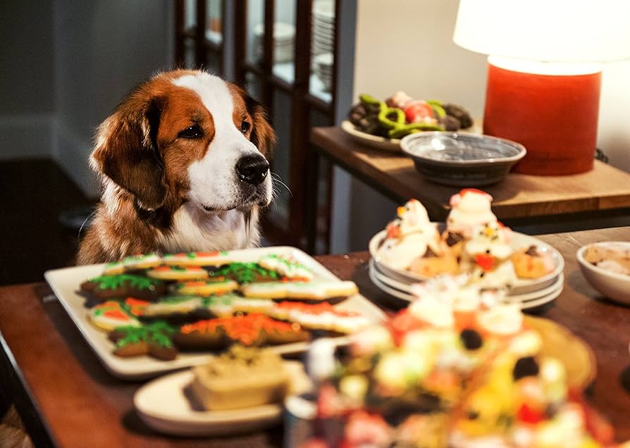 クーパー家の晩餐会 [Blu-ray] 2zzhgl6 Amazon.co.jp: クーパー家の晩餐会 [Blu-ray] : アラン