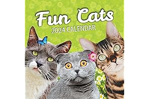 Fun Cats Wall Calendar 2024: Daily Organizer with Funny Kirby Cat Images
