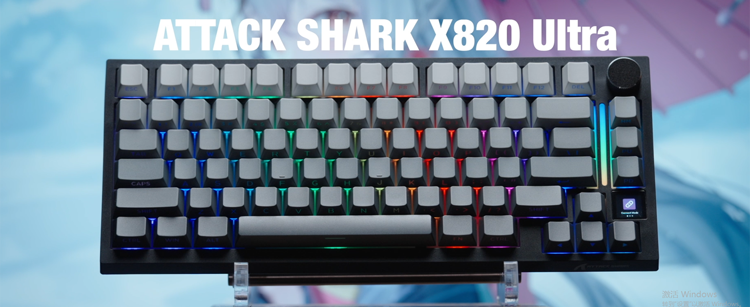 8-Quart Digital Air Fryer