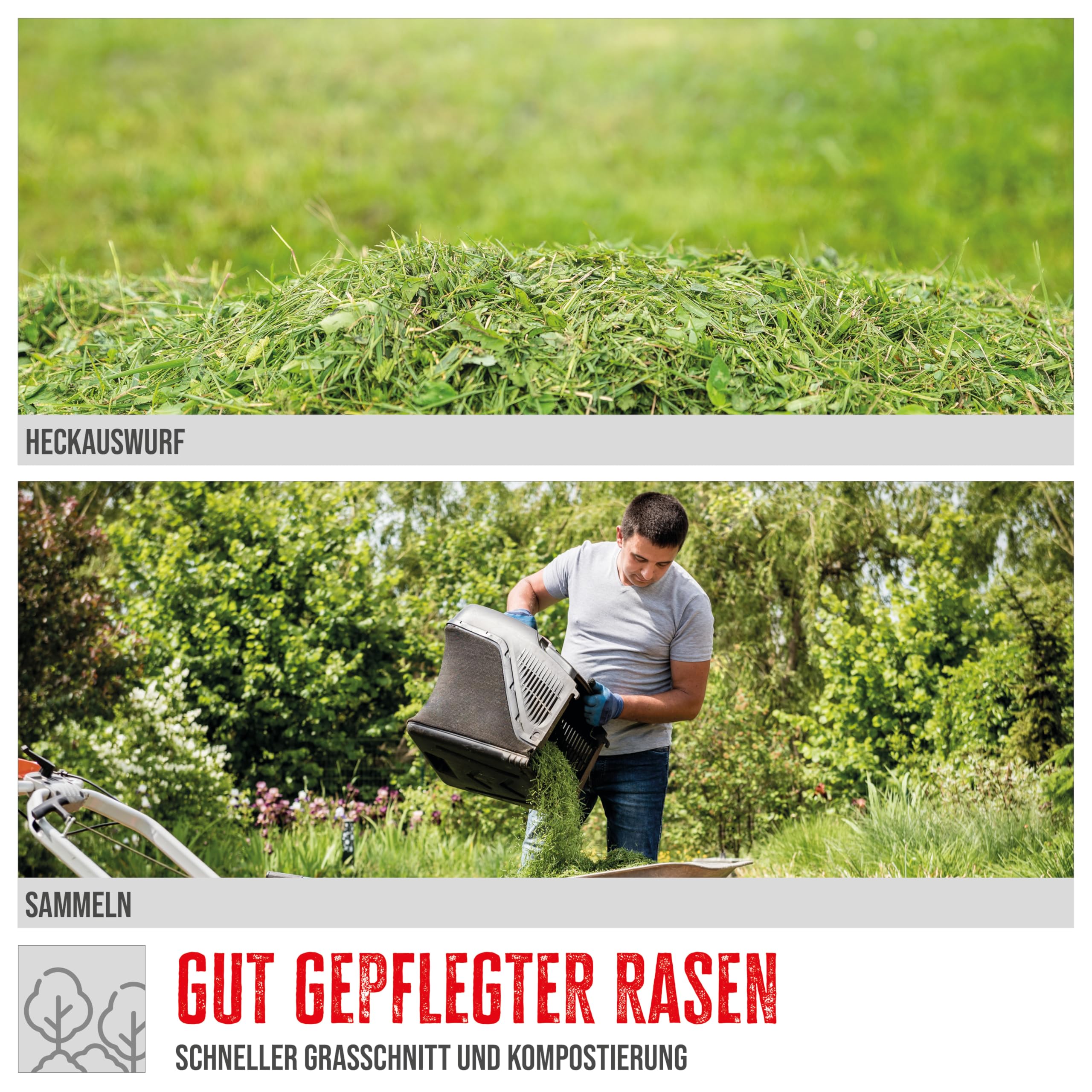 Güde Tosaerba elettrico 320/1300 (230 V, 1300 W, 3500 1 giri/min, larghezza di taglio 32 cm, cestello raccoglierba, 30 l, 3 livelli di regolazione dell'altezza di taglio 25-65 mm, dimensioni
