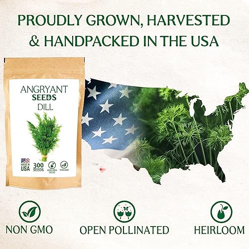 Miniatura 9 de Semillas de eneldo para plantar jardín de hierbas, semillas tradicionales sin OMG, sin tratar, 100% cultivadas en Estados Unidos, fáciles de