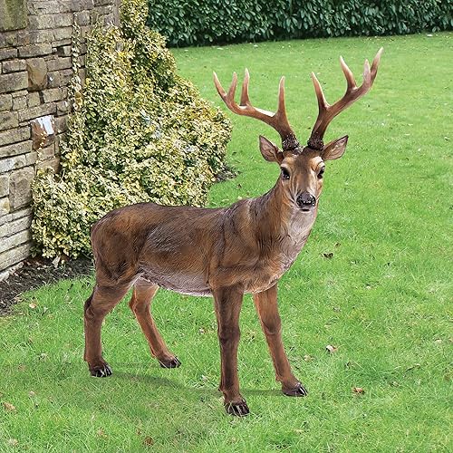 Miniatura 5 de Design Toscano Big Rack Deer Buck - Estatua Señuelo de Animal de Jardín para Interiores y Exteriores, 28 pulgadas de largo, 24 pulgadas de alto,