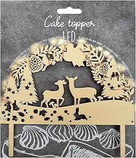 Amazon Fr La Foret Enchantee