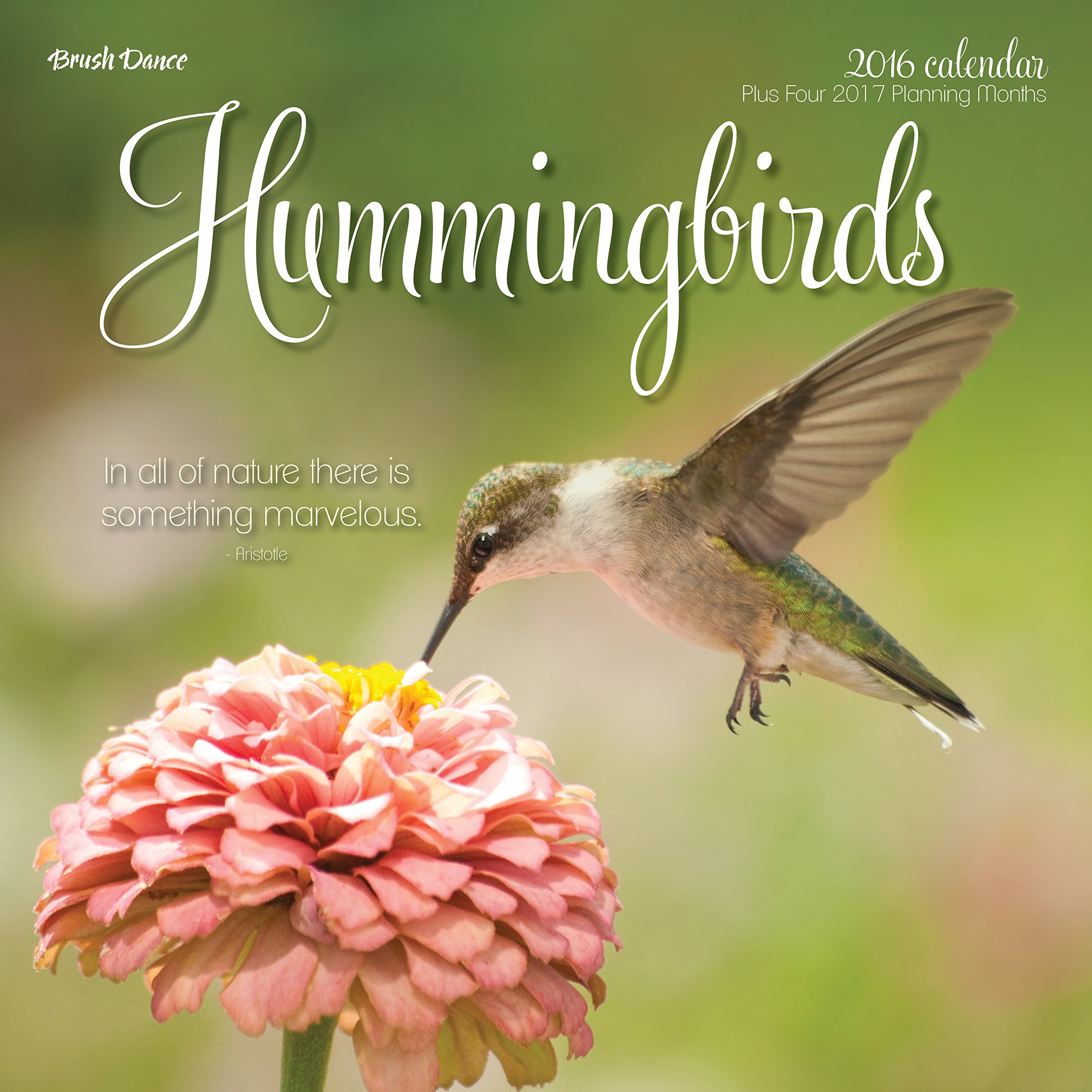 Amazon In Buy Hummingbirds 16 Calendar Book Online At Low Prices In India Hummingbirds 16 Calendar Reviews Ratings