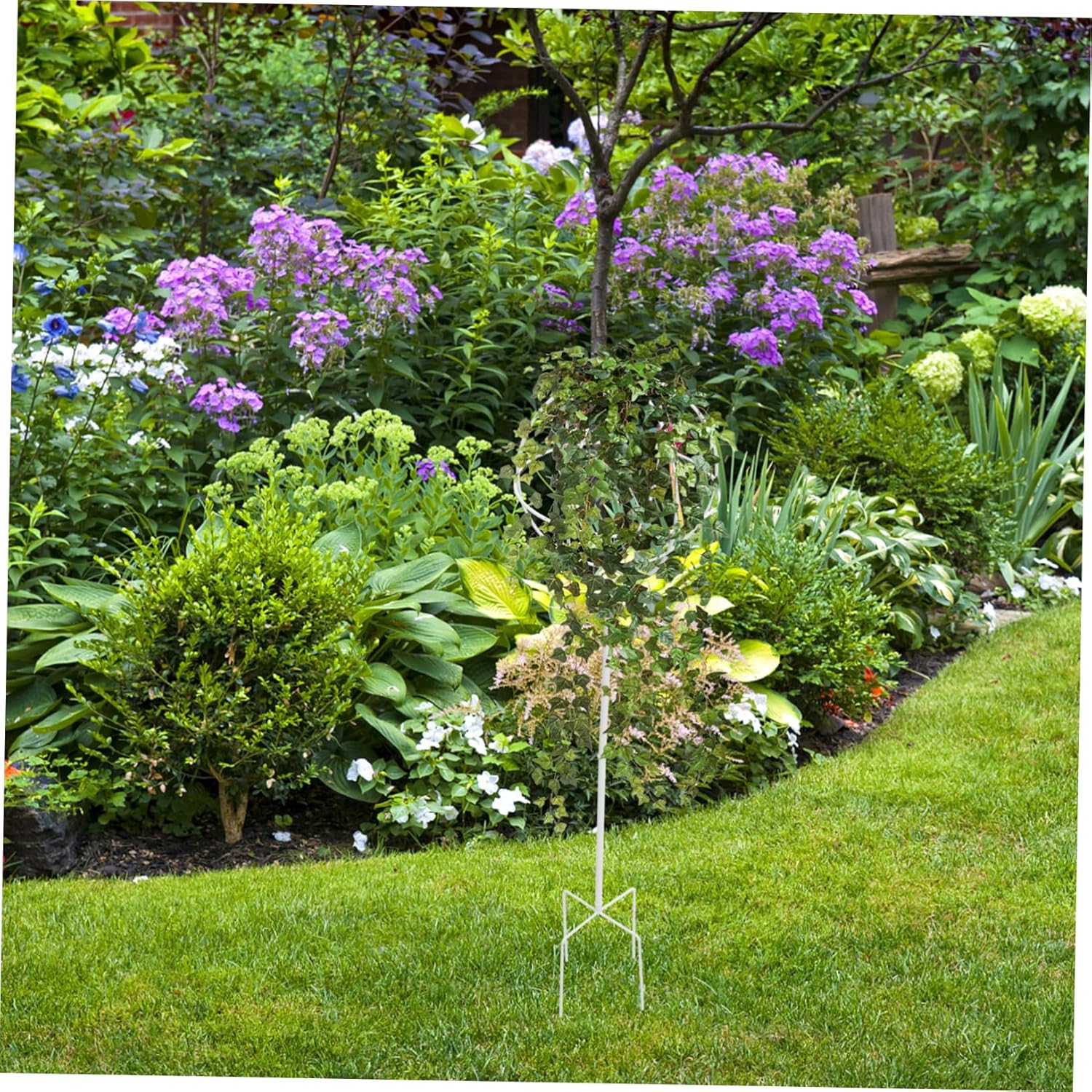 MERRYHAPY Plant Support Trellis Flower Vine Climbing Rack Accessory for Outdoor Indoor