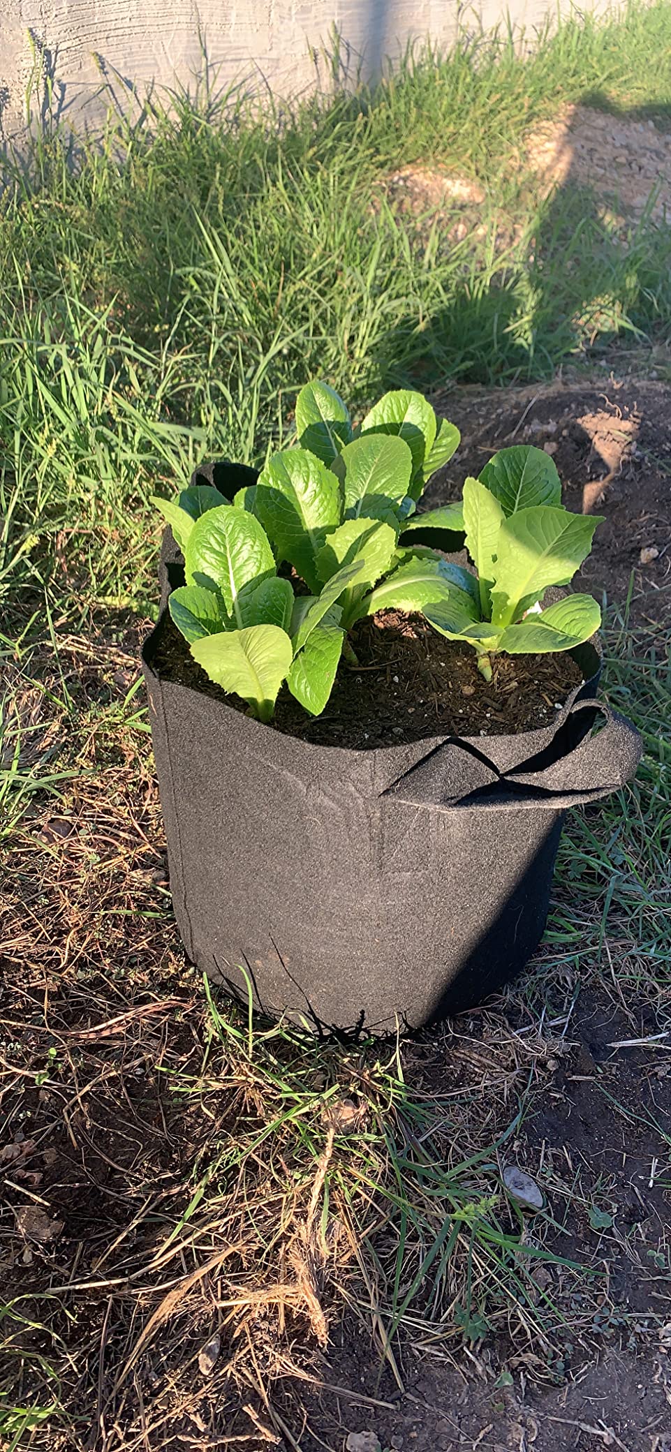 5/mo Finance JERIA 16Pack 3 Gallon Grow Bags, Heavy Duty Thickened Nonwoven Fabric Pots