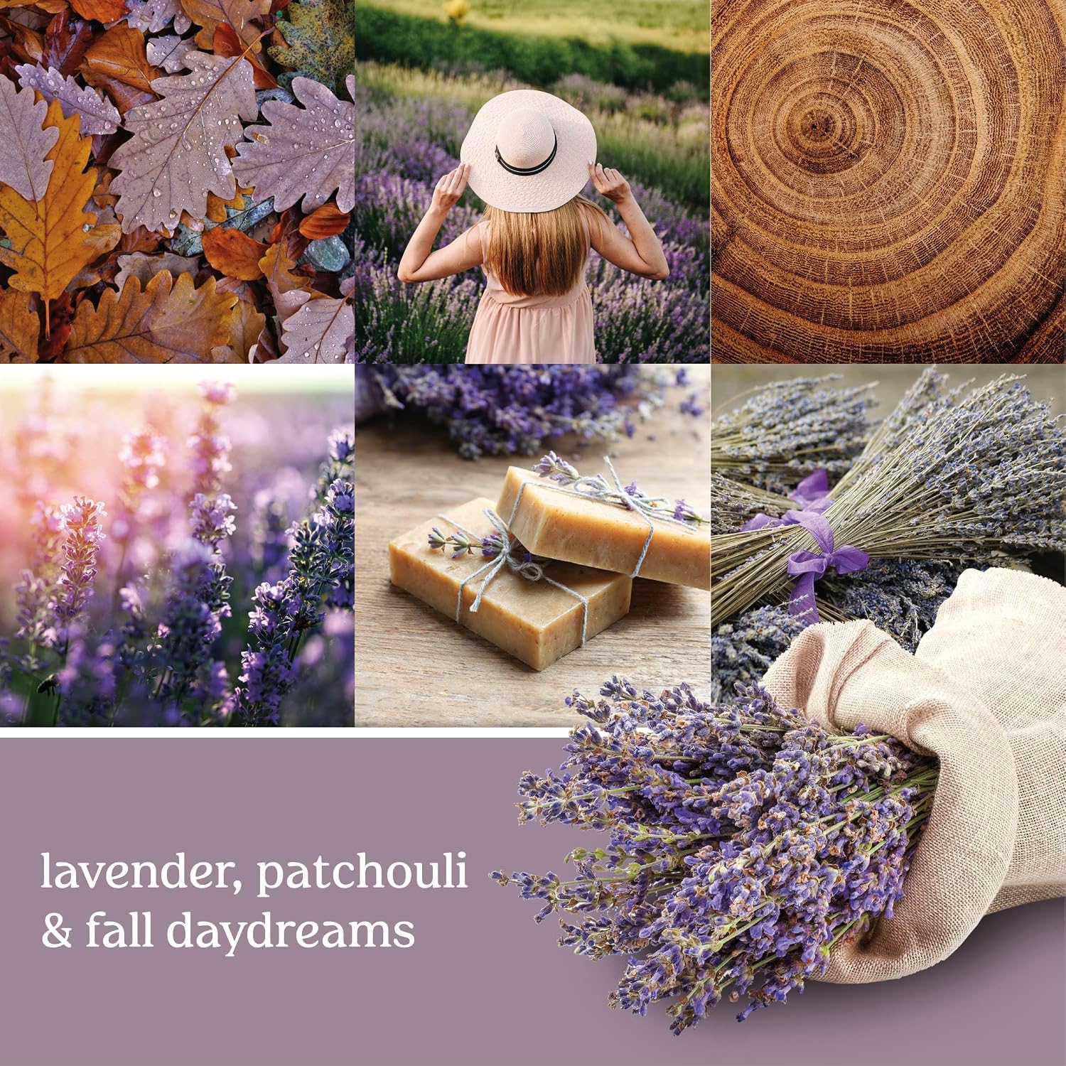 Yankee Candle ScentPlug Refill for Plug in Air Fresheners, Scented Oil Refills, Long Lasting Home Fragrance, Odor Eliminating Fragrance, Dried Lavender & Oak (Pack of 2)