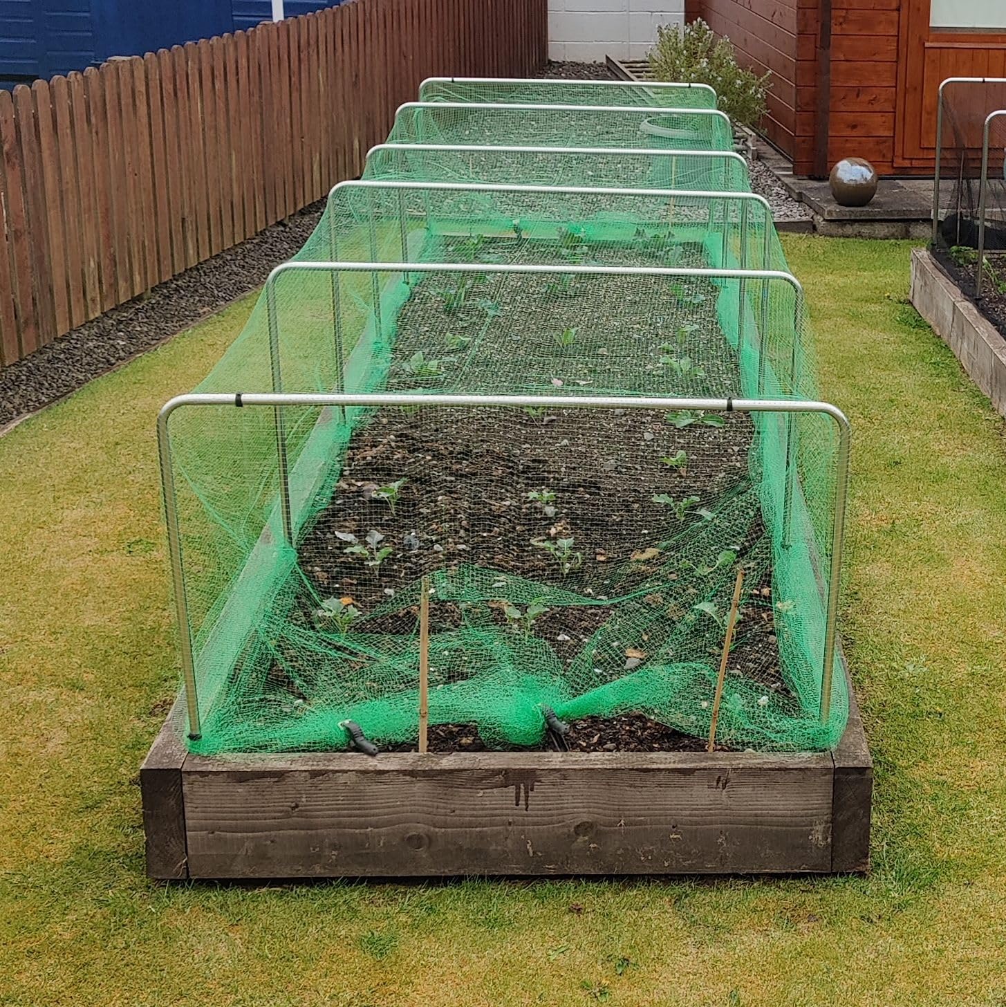 View 6