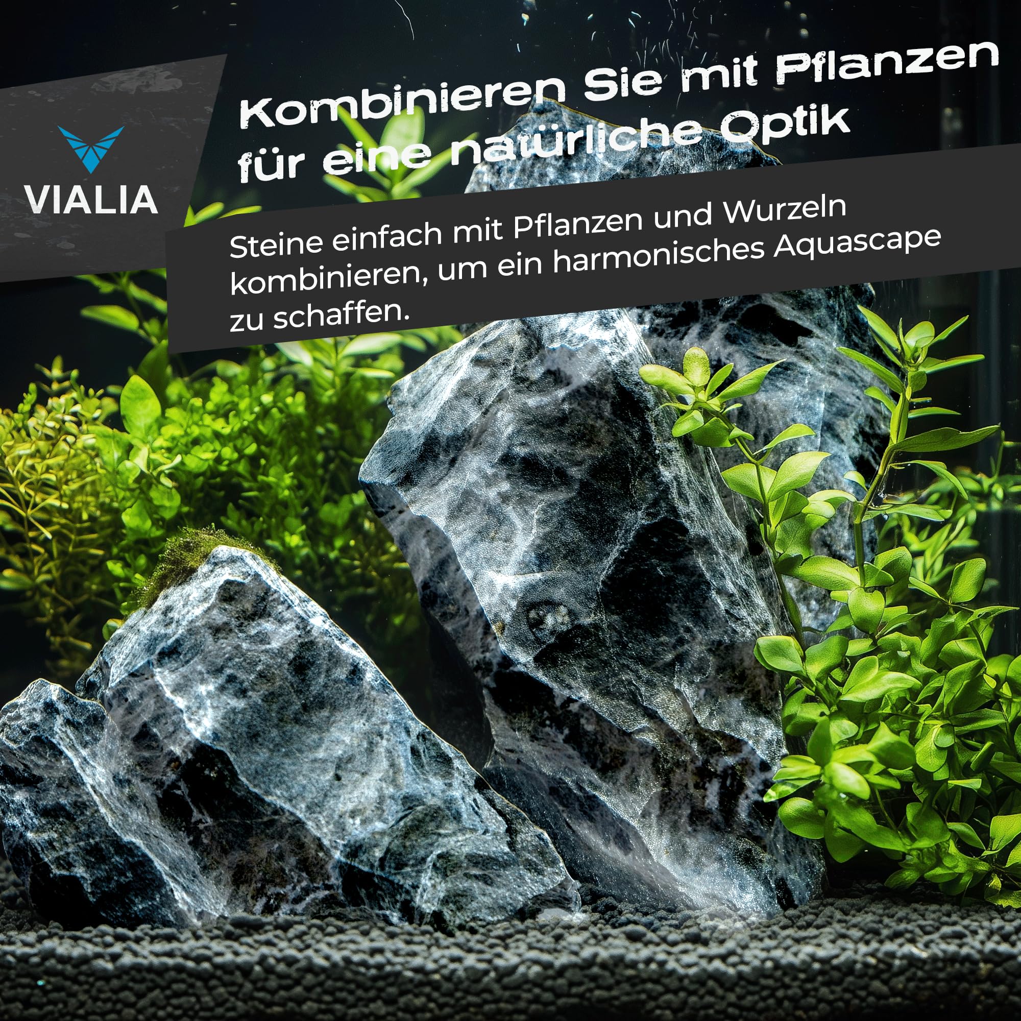 Seiryu Steine 25 kg | Mini Landschaft Aquarium Steine Mix S bis XL | Naturstein Deko für Aquascaping & Terrarium | Einzigartige Formen & Farben | Unterstützt stabiles Wasserklima