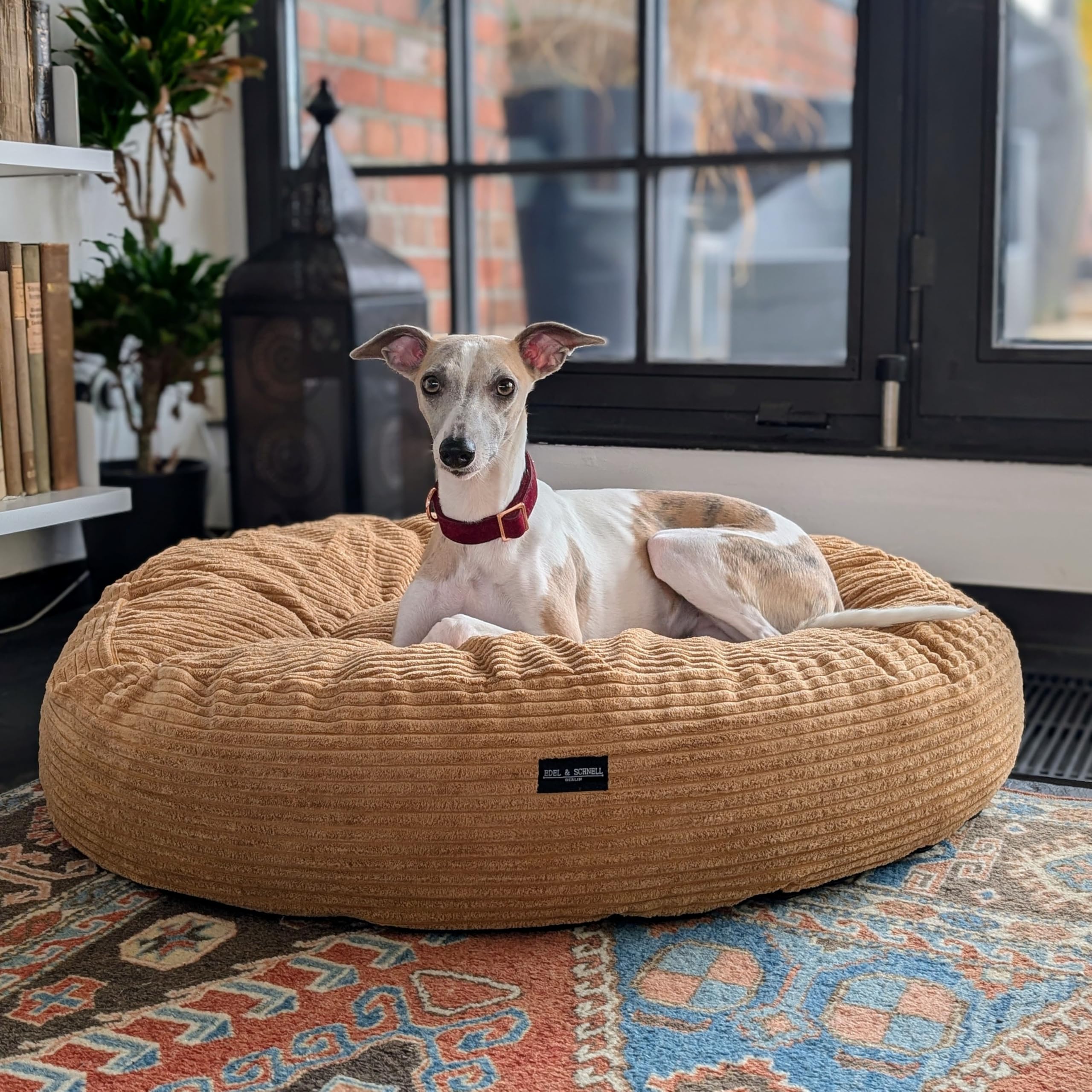 EDEL&SCHNELL orthopädisches Hundebett handgefertigt rund in der Farbe Sand mit robuster Cord Oberfläche, Whippet Greyhound Galgo Hundebett waschbar, 125 cm Durchmesser