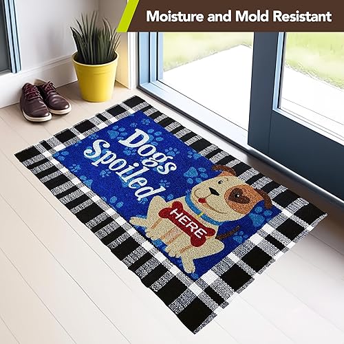 Miniatura 6 de Briarwood Lane Felpudo para el día a día, 30 x 18 pulgadas, para interiores y exteriores