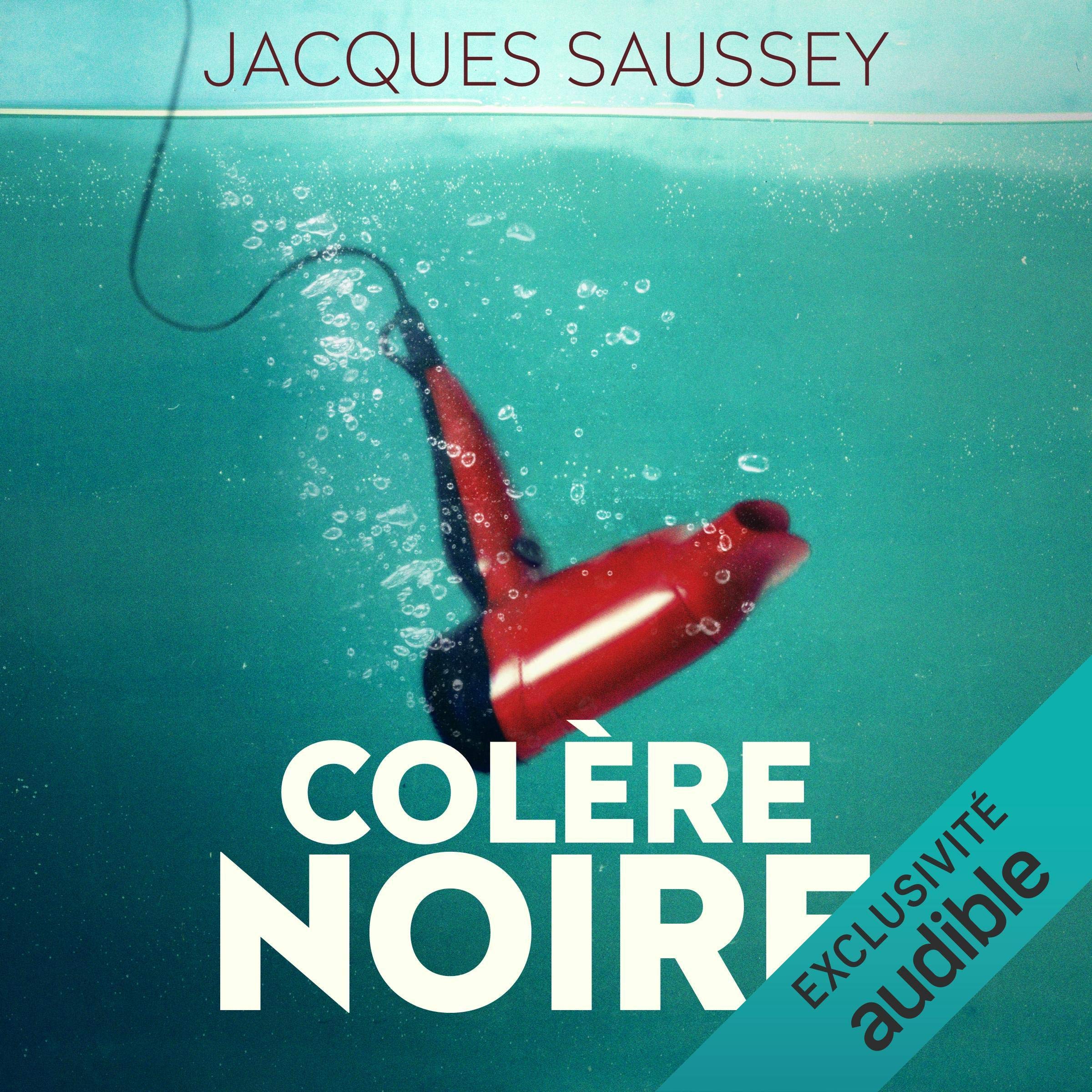 Cover art for Colère noire