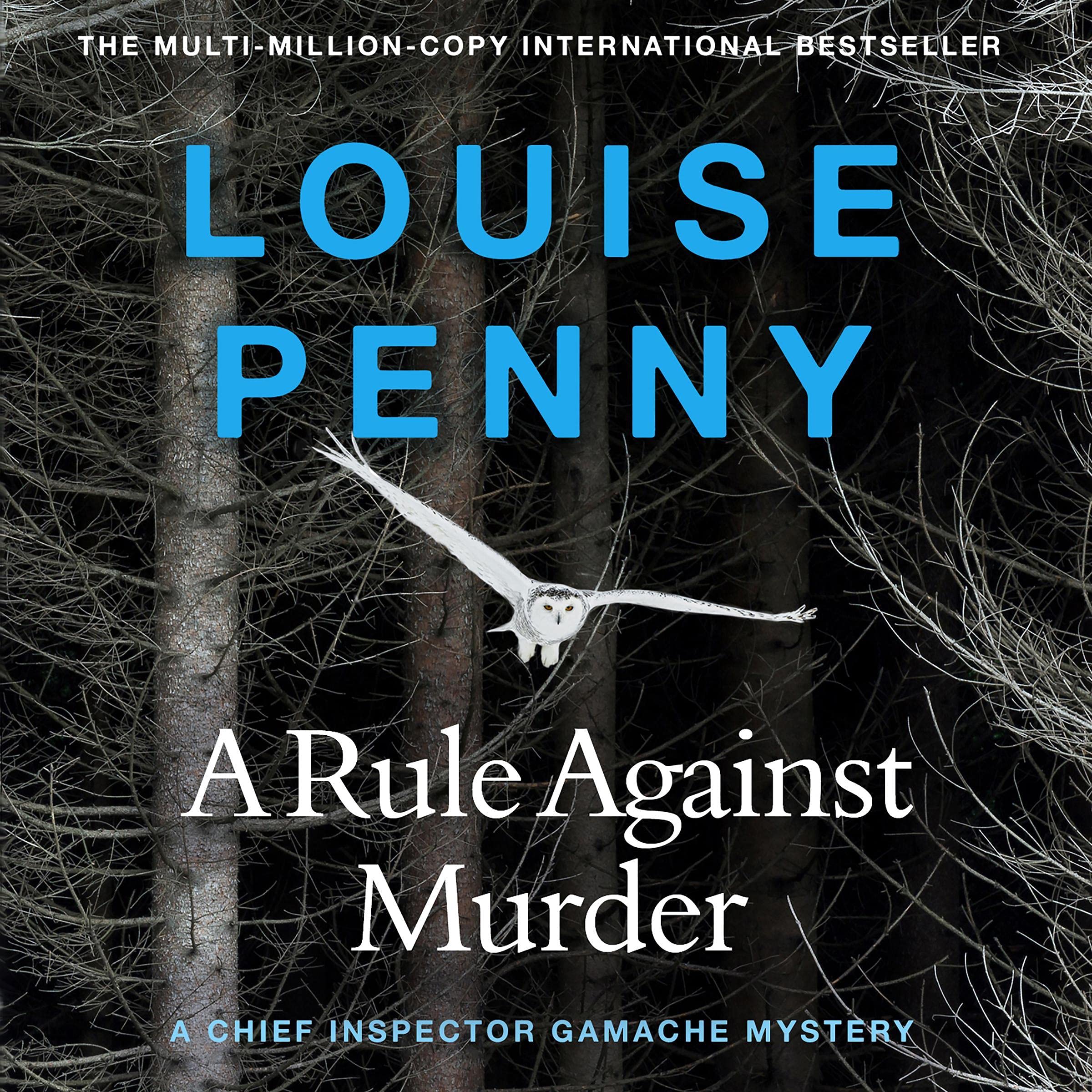 Cover art for A Rule Against Murder