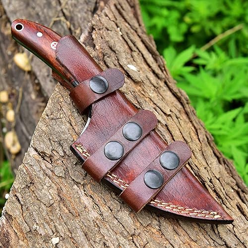 Miniatura 4 de AA Knives Cuchillo de caza hecho a mano de acero Damacus con funda de cuero, cuchillo de bushcraft de hoja fija con mango de madera de Pakka y