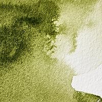 Vista 145 de Winsor & Newton - Pintura para acuarela profesional