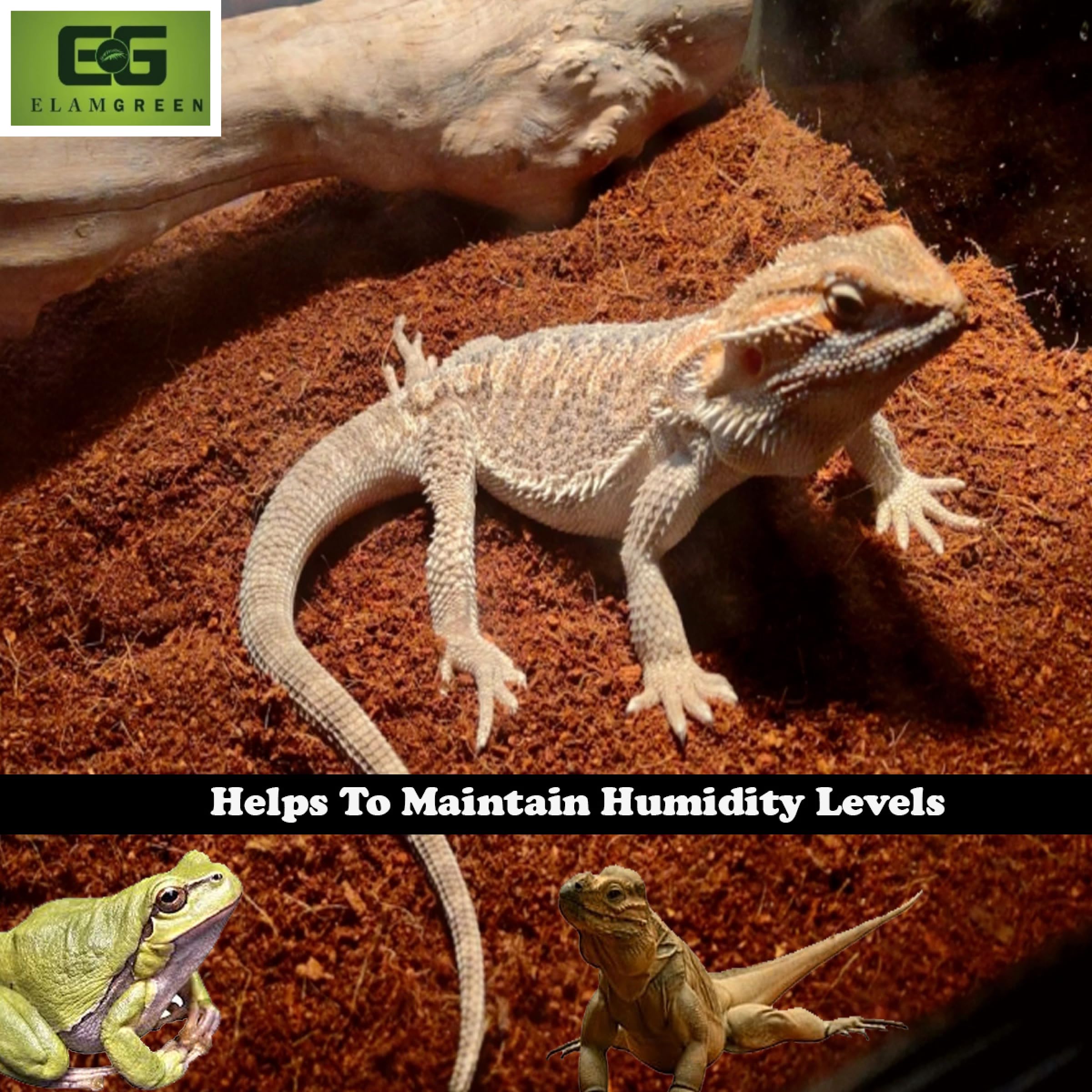 Elamgreen Coco peat for Animal Bedding | Reptiles Small Animals Tortoise Python Frog Snake Chicken Rabbit Birds | pet Products pet Supply Indoor & Outdoor (5kg) 3