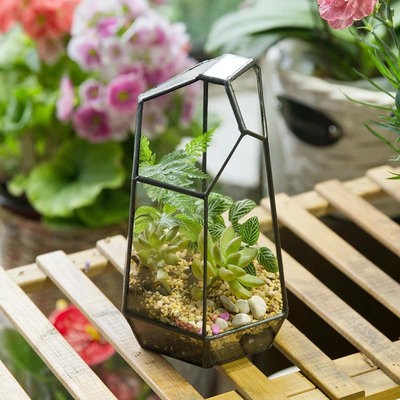 NCYP 19cm Kézműves Üveg Terrarium Prizmás Növénytartó Szukkulens Páfrány Moha Virág Dekoráció