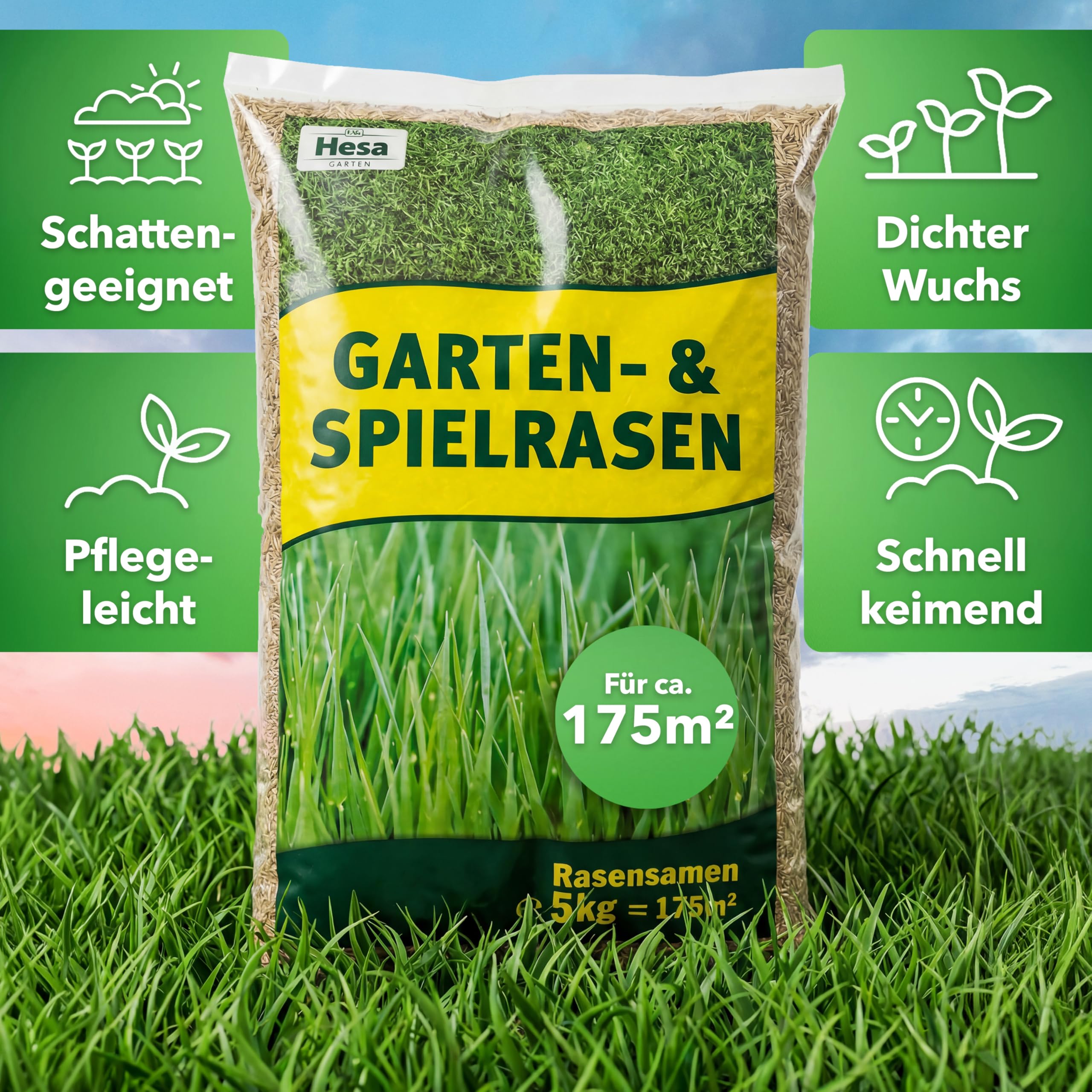 Hesa Césped de jardín universal, 5 kg para aprox. 175 m², semillas de césped de calidad para jardines domésticos y superficies residuales, fácil de limpiar y germinar rápidamente
