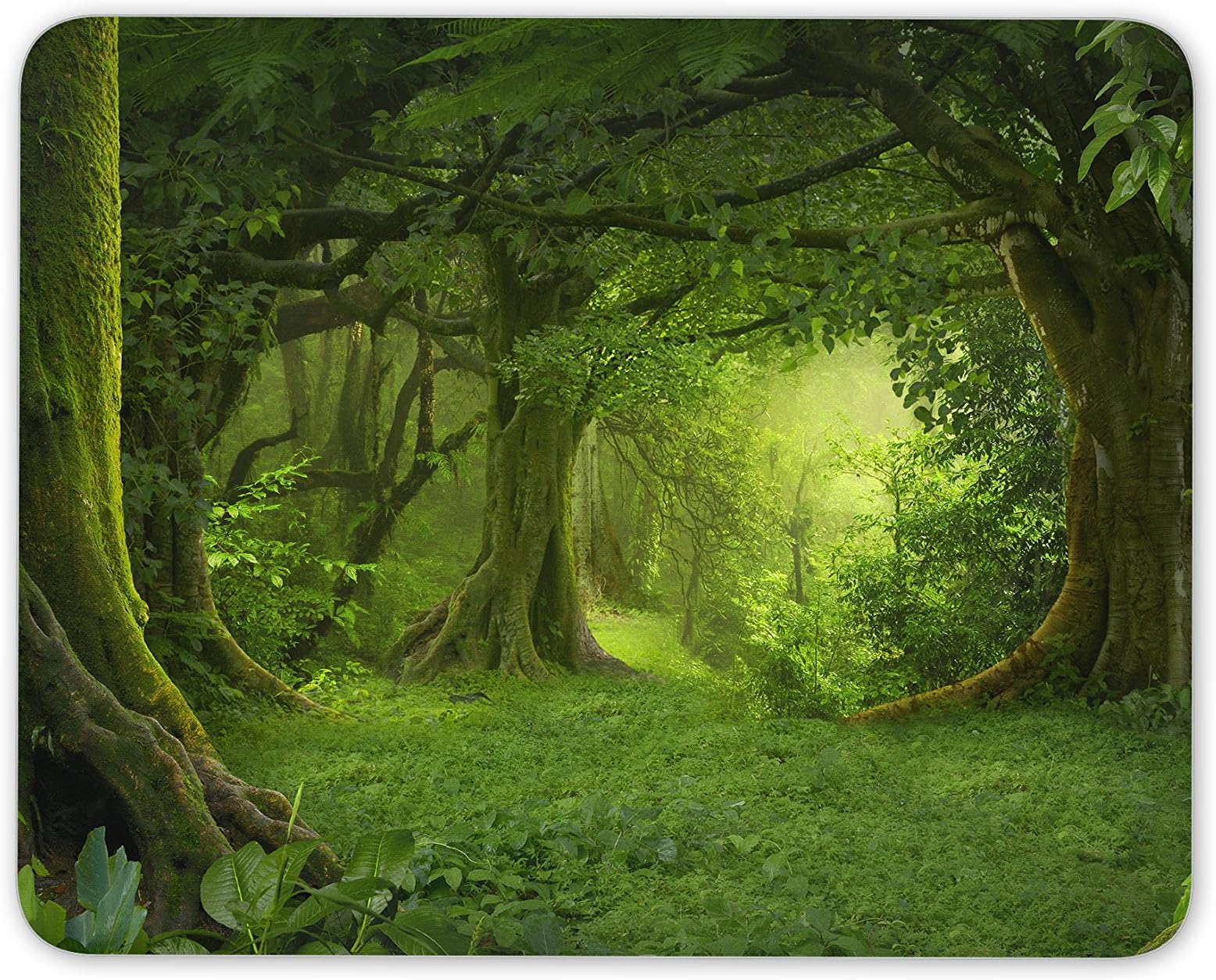 Destination Vinyl Ltd Beautiful Ancient Forest Mouse Mat Pad - Tree Forrest Gift PC Computer #8294