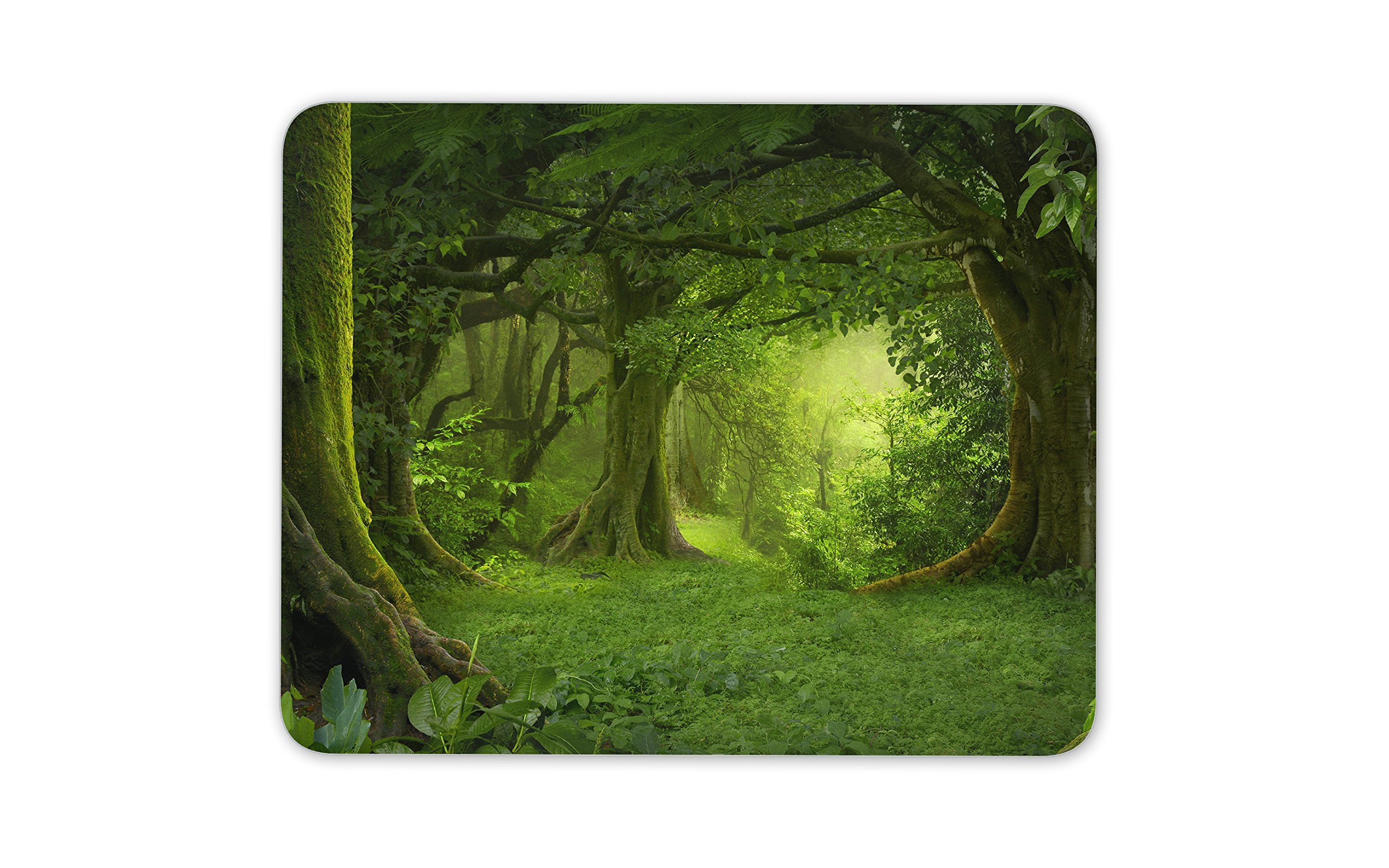 Destination Vinyl Ltd Beautiful Ancient Forest Mouse Mat Pad - Tree Forrest Gift PC Computer #8294