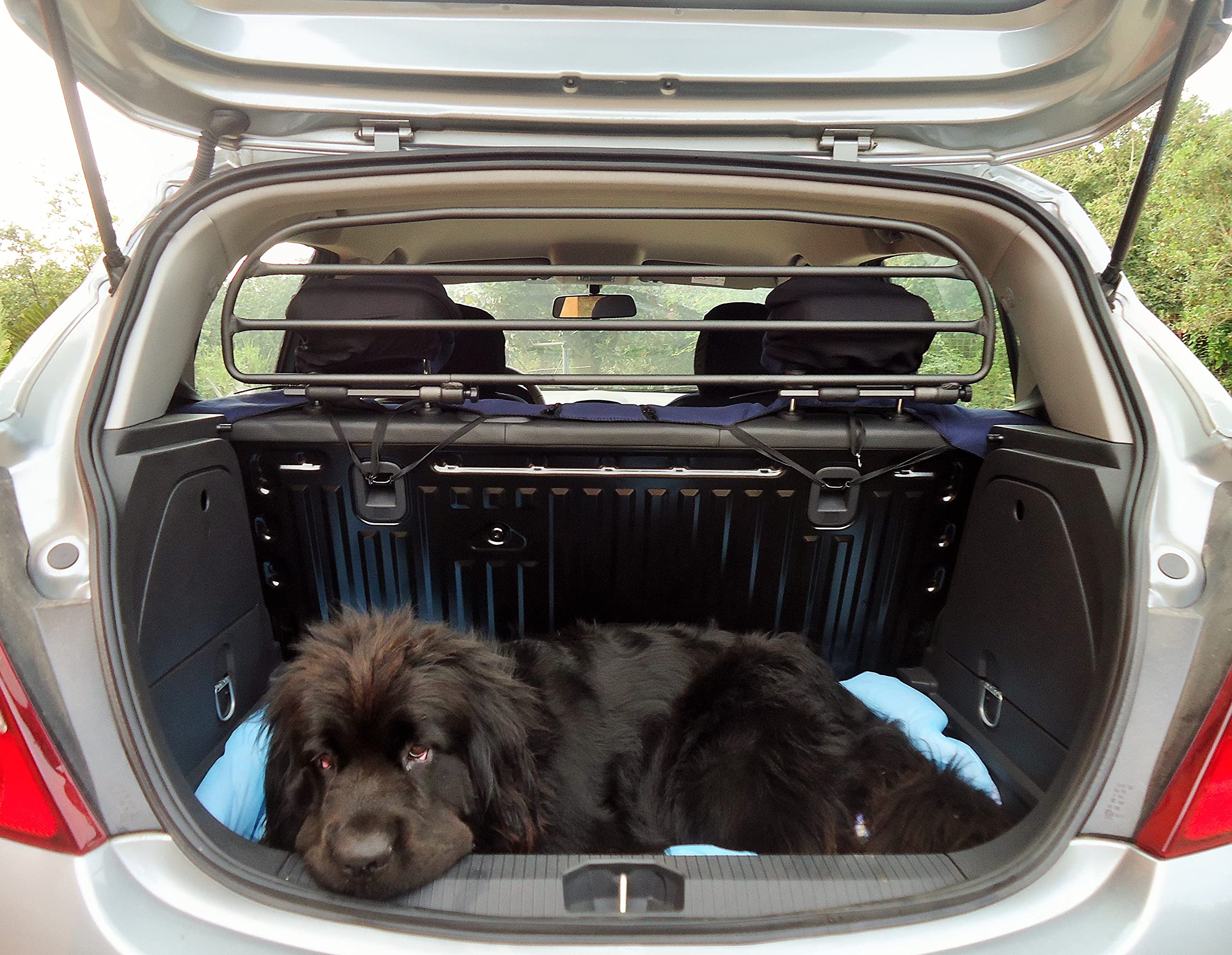 Divisorio Rete Per Bagagliaio ERGOTECH Per Opel Corsa (2019+) - Trasporto Cani Sicuro - Foto 6