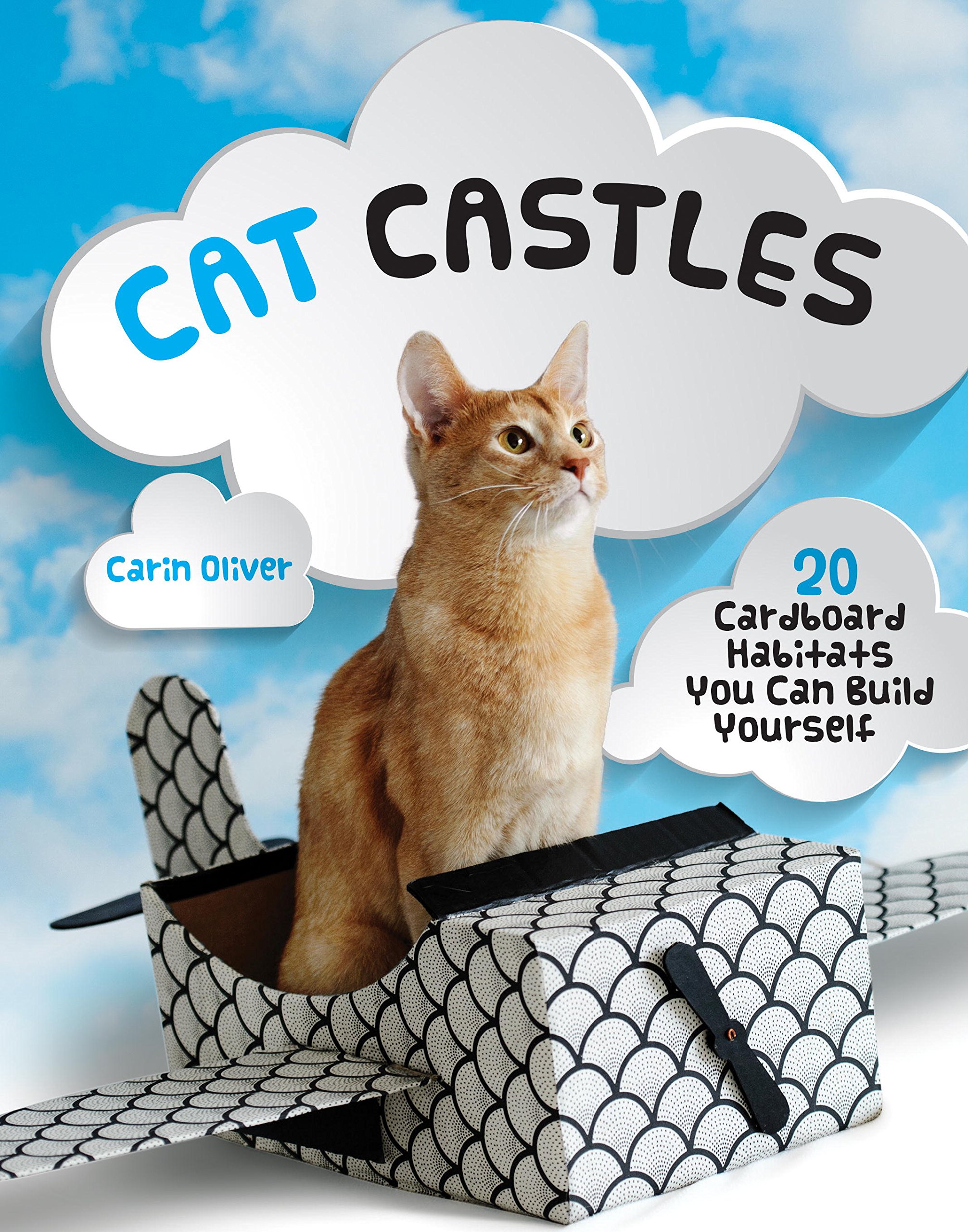 Cat Castles: 20 Cardboard Habitats You Can Build Yourself-Carin Oliver