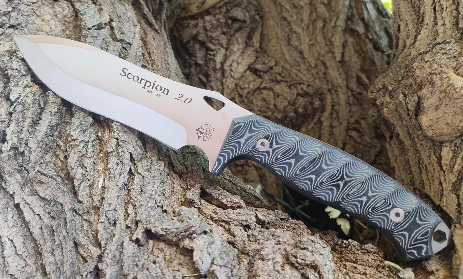J&V Scorpion – Survival Knife for Camping Bushcraft Field Hunting Fishing Blade 15.5 cm Stainless Steel MOVA-58 Cordura Sheath Made in Spain